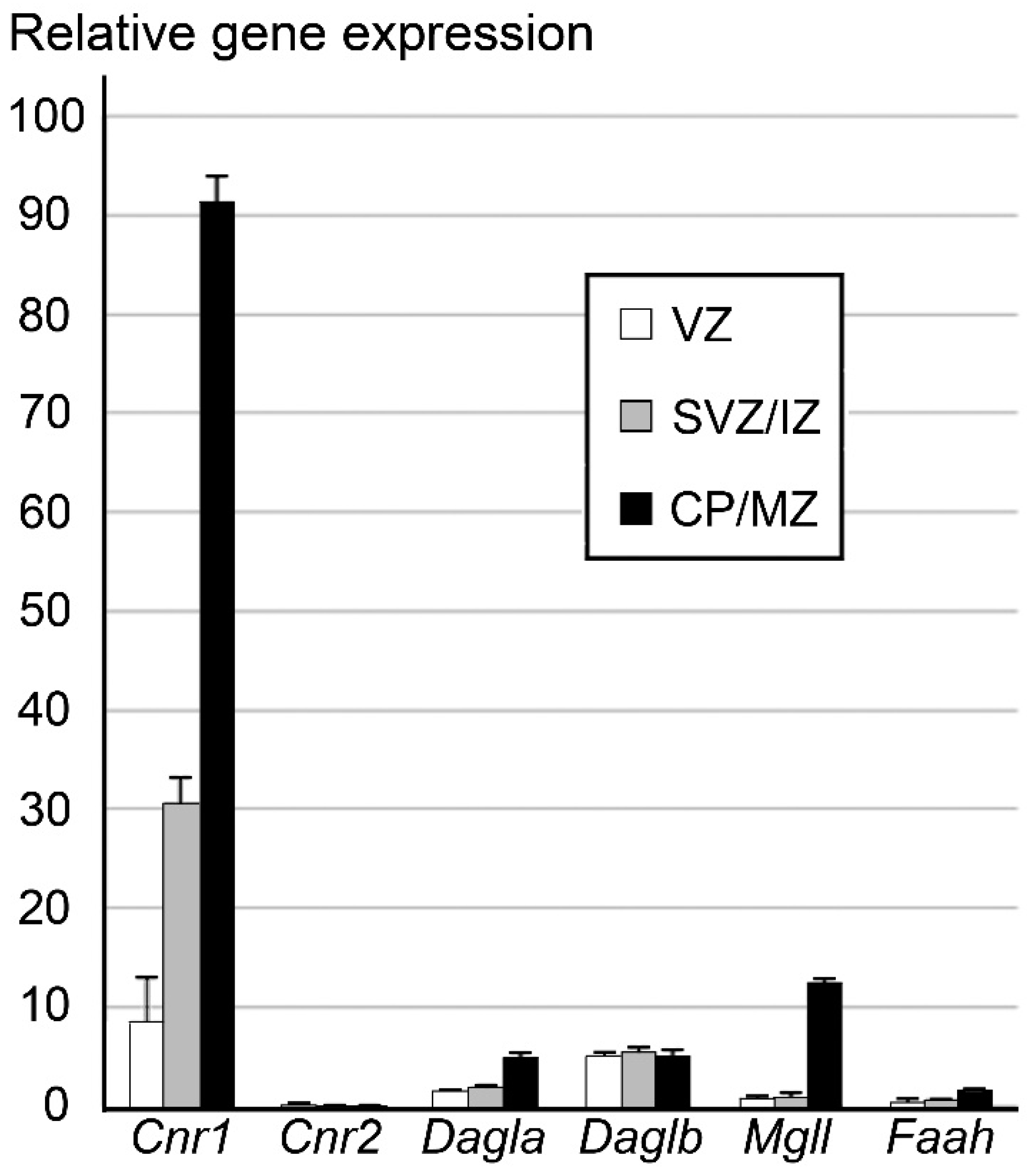 Ijms 21 08657 g001 Ijms 21 08657 g001