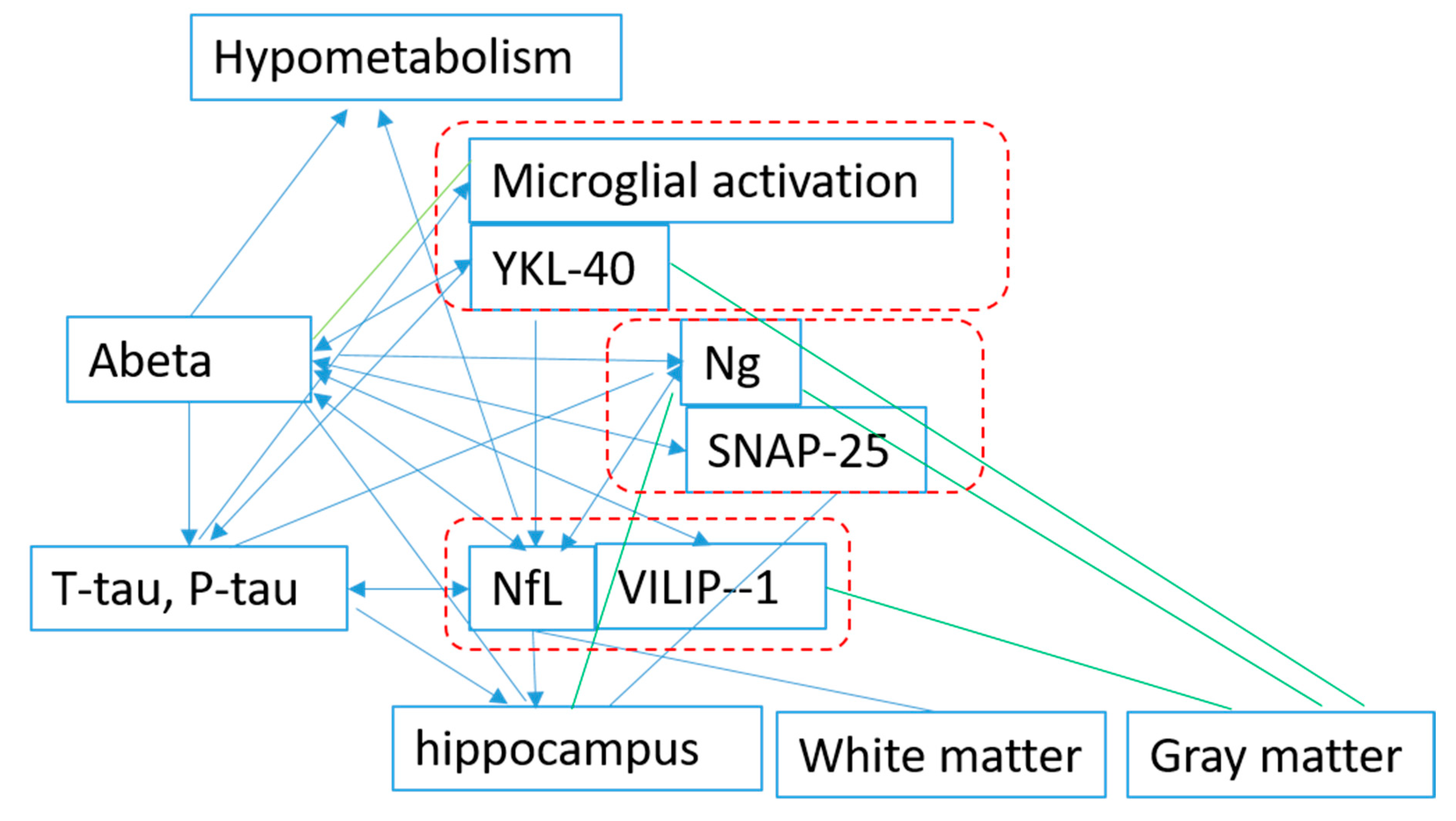 Ijms 21 08661 g002 Ijms 21 08661 g002