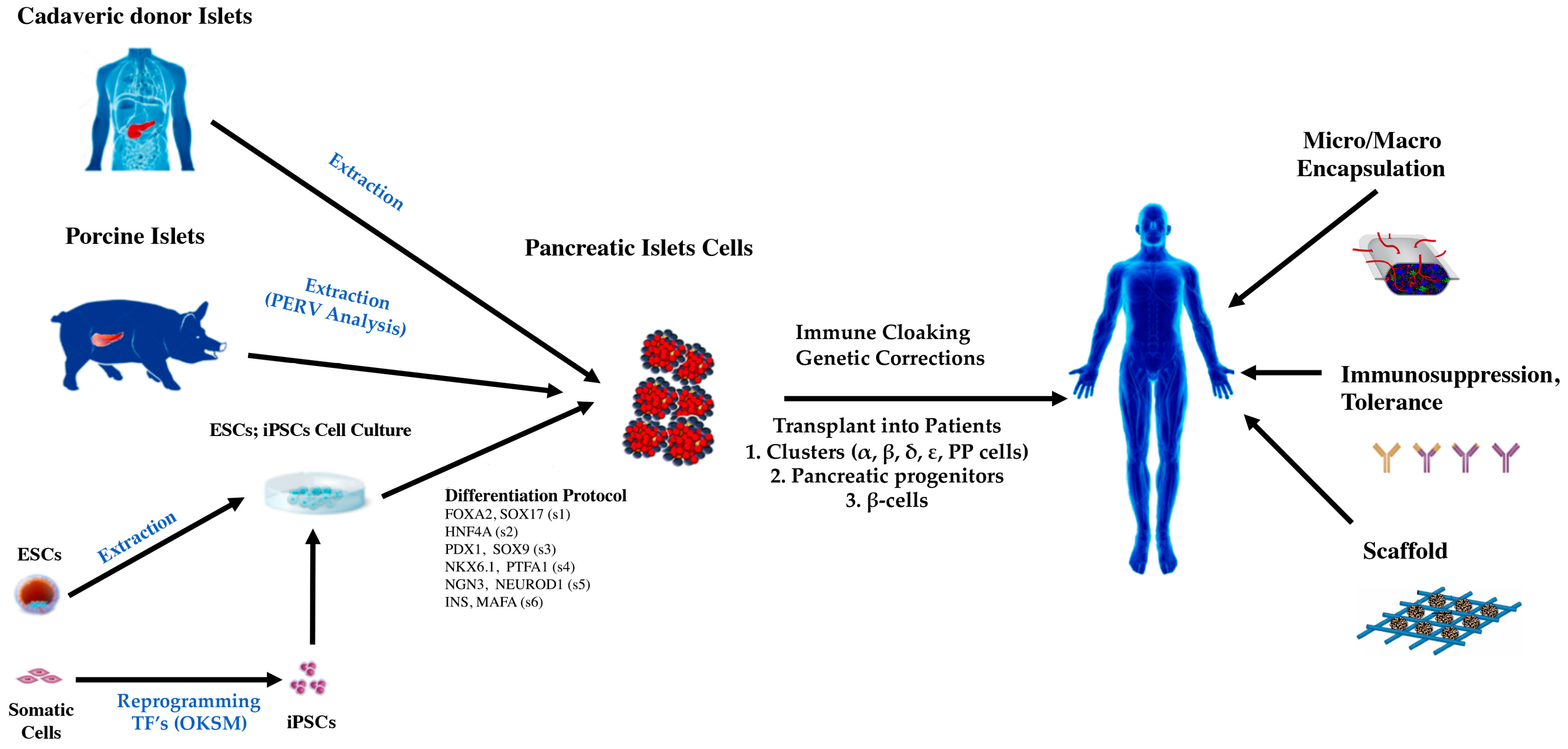 IJMS Free FullText Diabetes Mellitus Is a Chronic Disease that Can