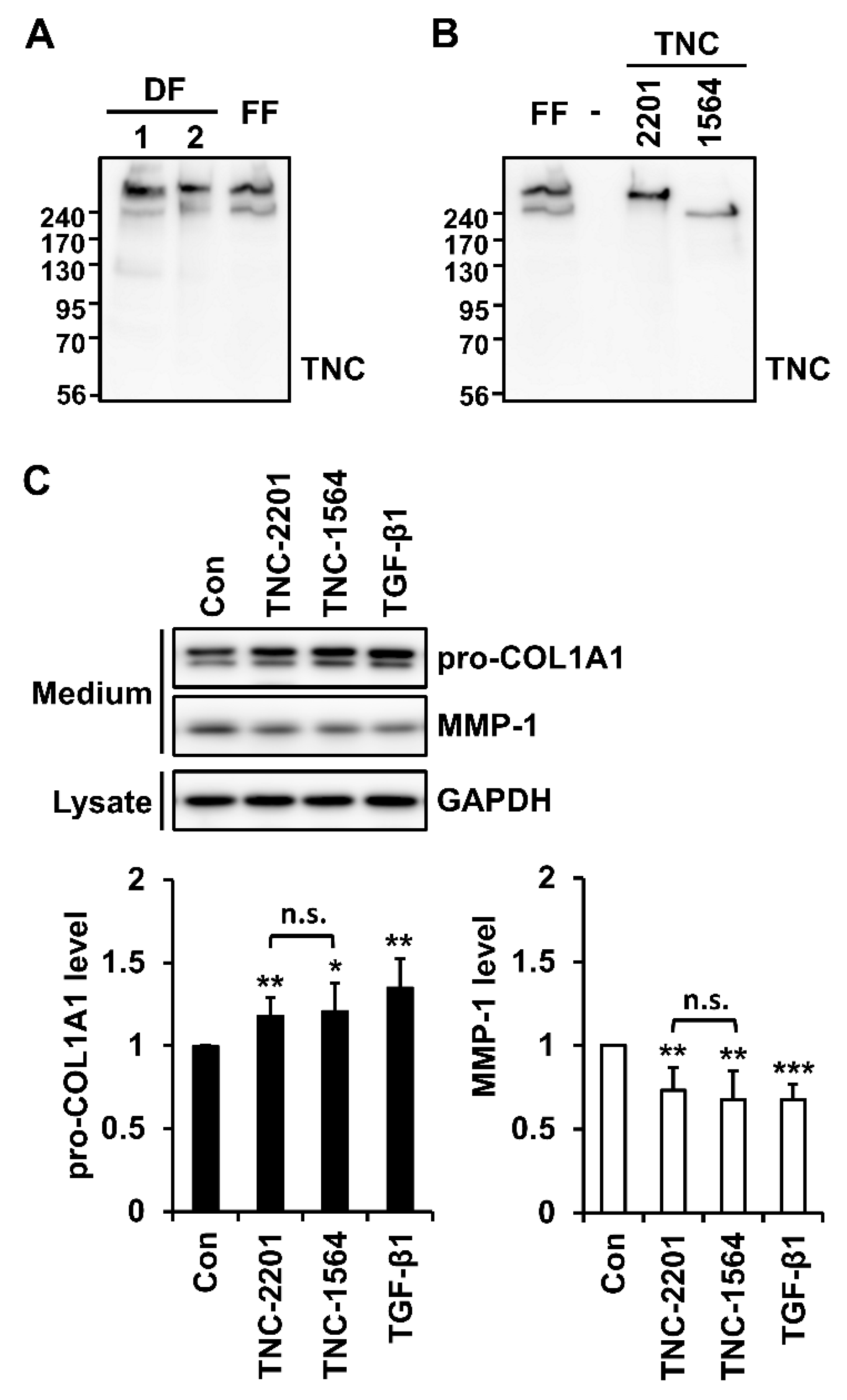 Ijms 21 08693 g002 Ijms 21 08693 g002