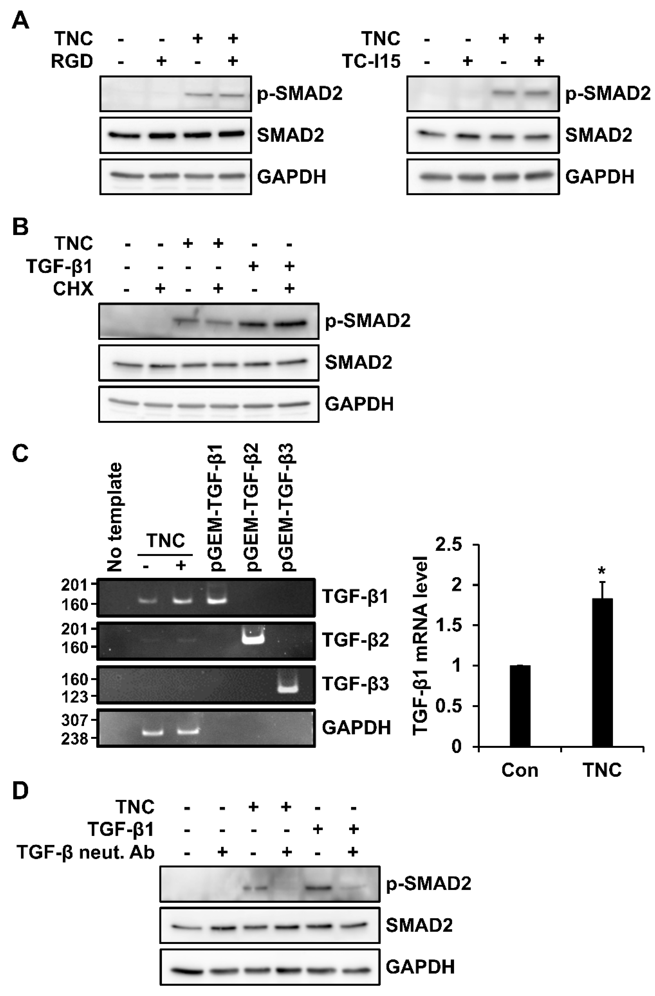 Ijms 21 08693 g006 Ijms 21 08693 g006