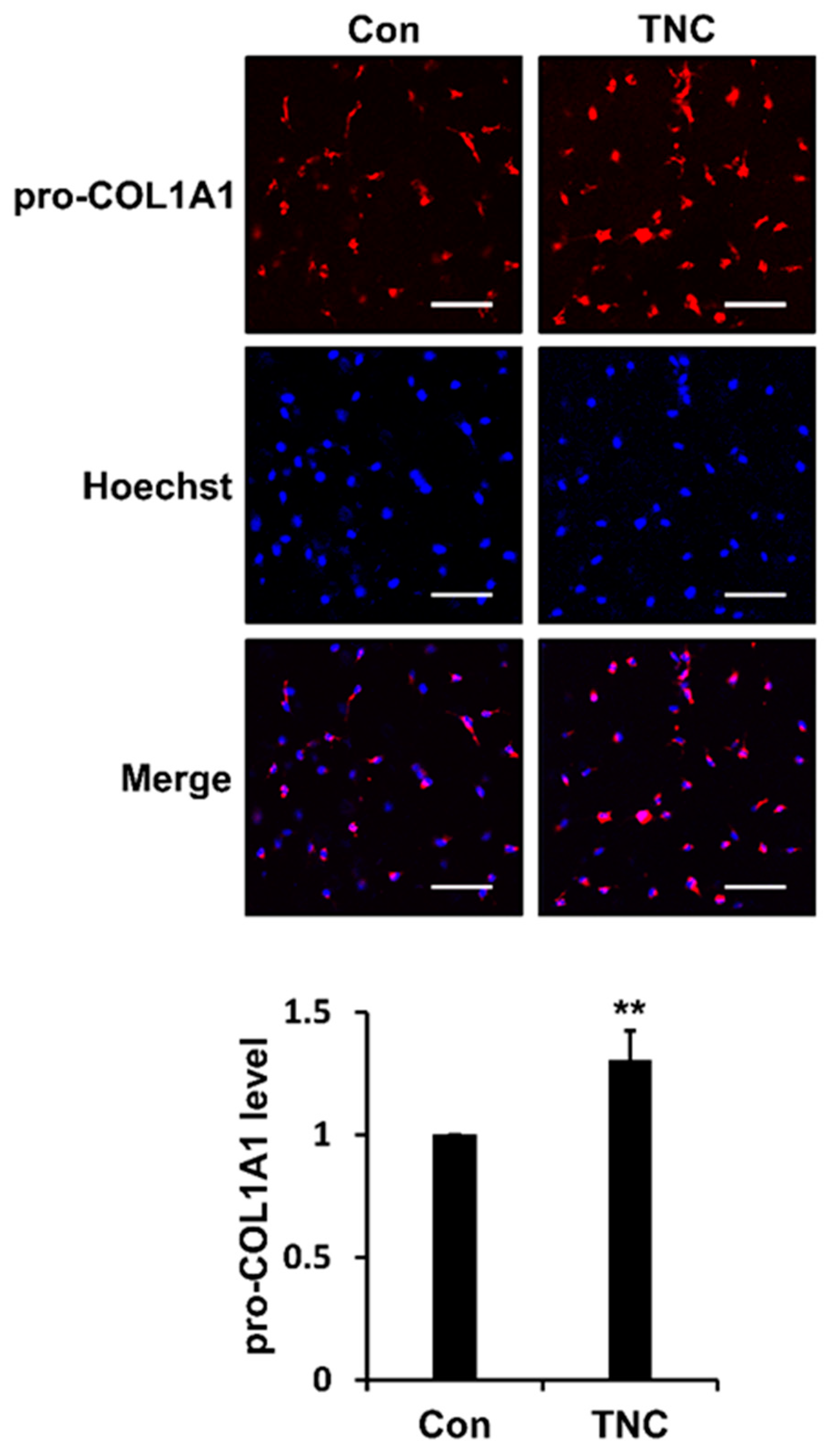 Ijms 21 08693 g007 Ijms 21 08693 g007