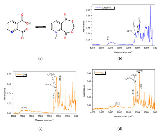Structural Insights into New Bi(III) Coordination Polymers