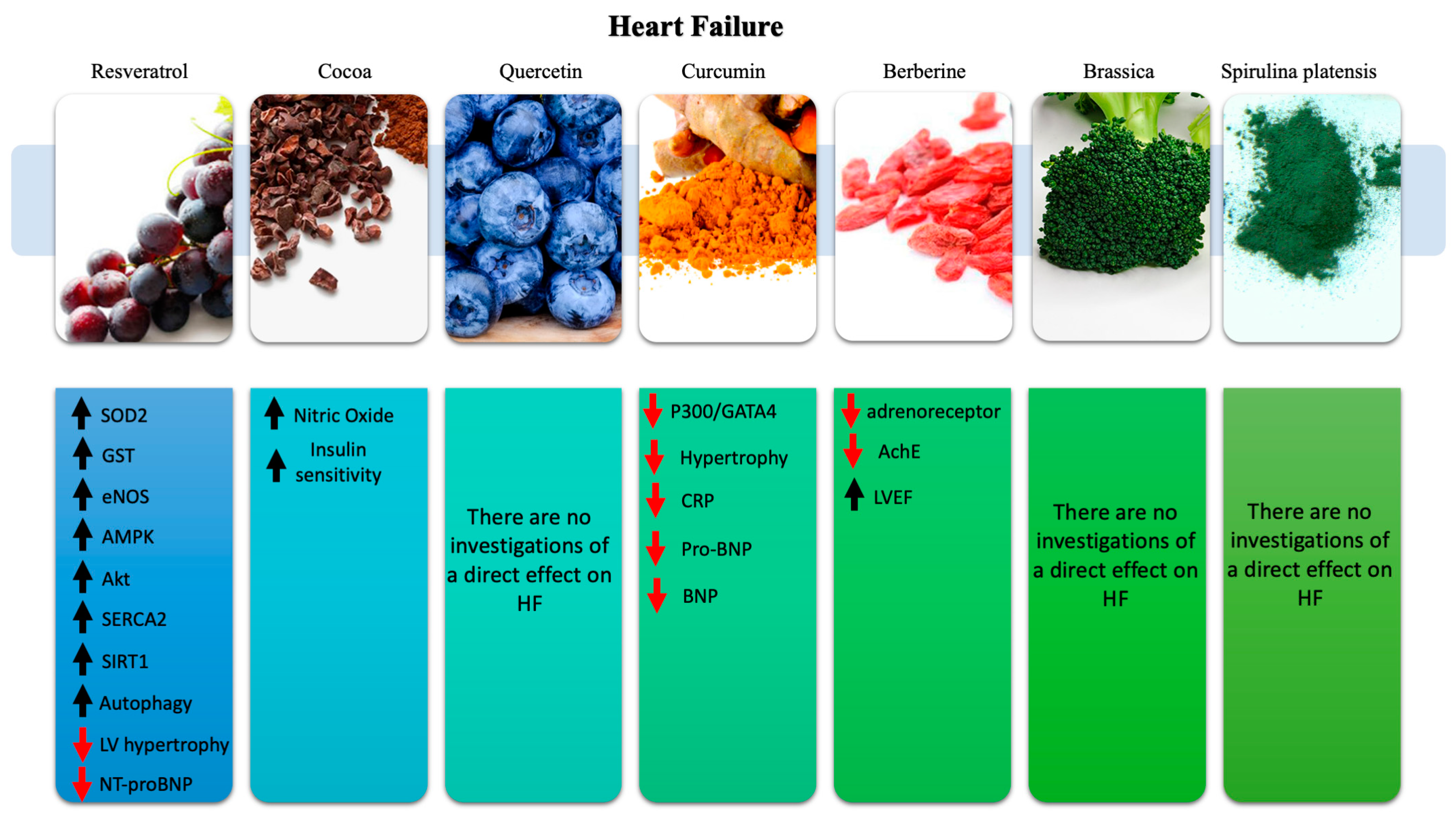 Ijms Free Full Text A Novel Promising Frontier For Human Health The Beneficial Effects Of Nutraceuticals In Cardiovascular Diseases Html