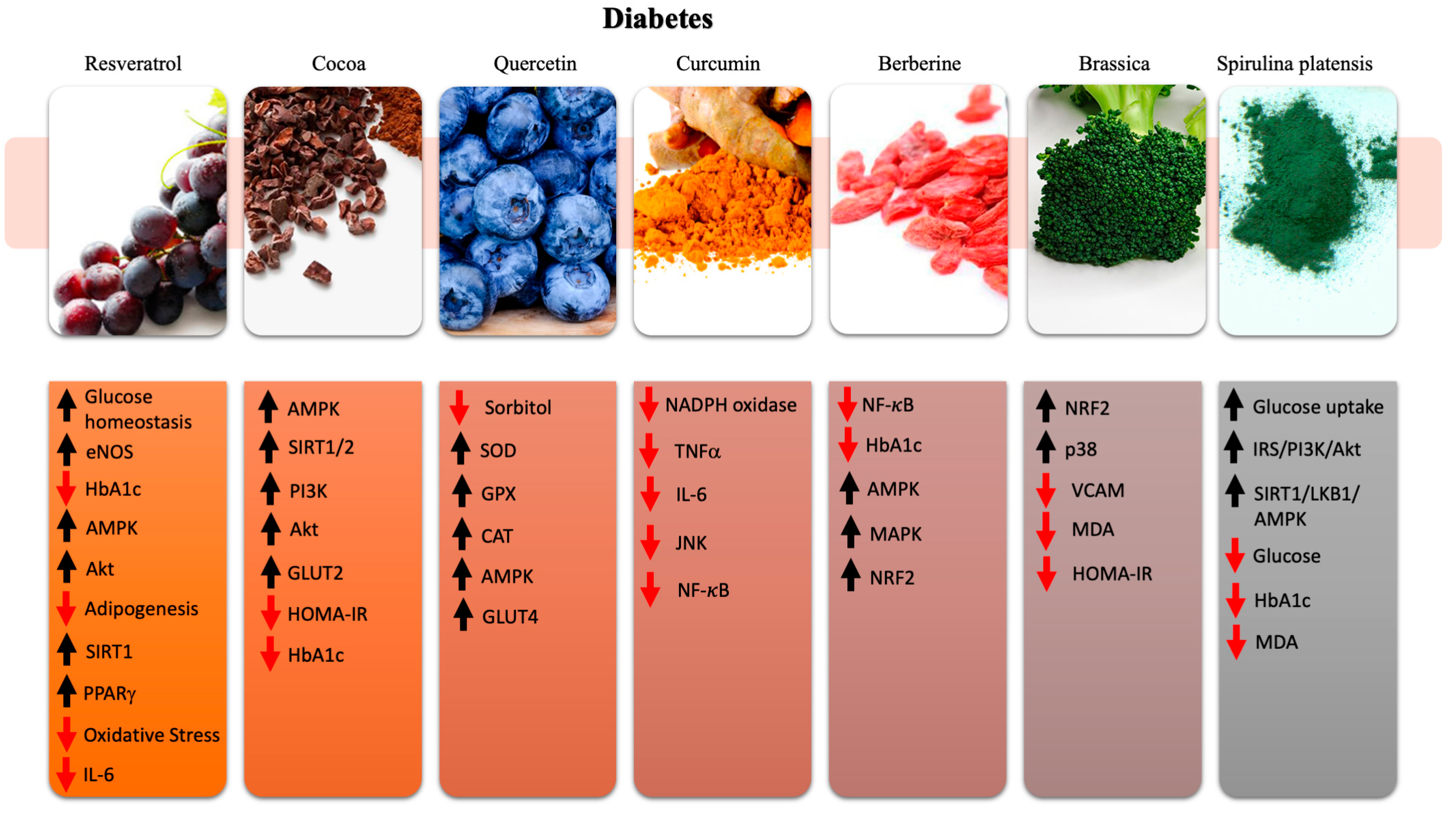 A Novel Promising Frontier for Human Health: The Beneficial