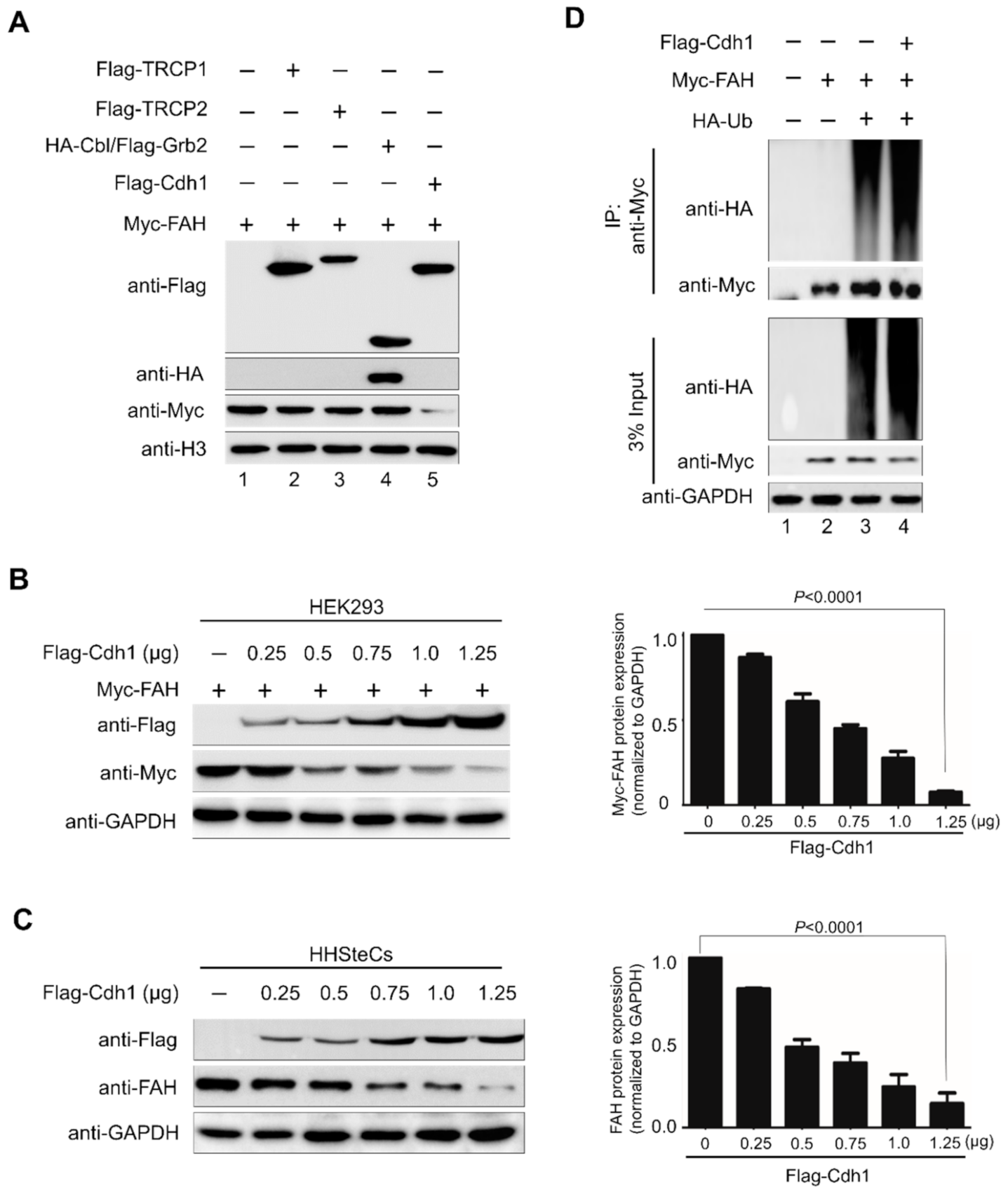 Ijms 21 08719 g003 Ijms 21 08719 g003