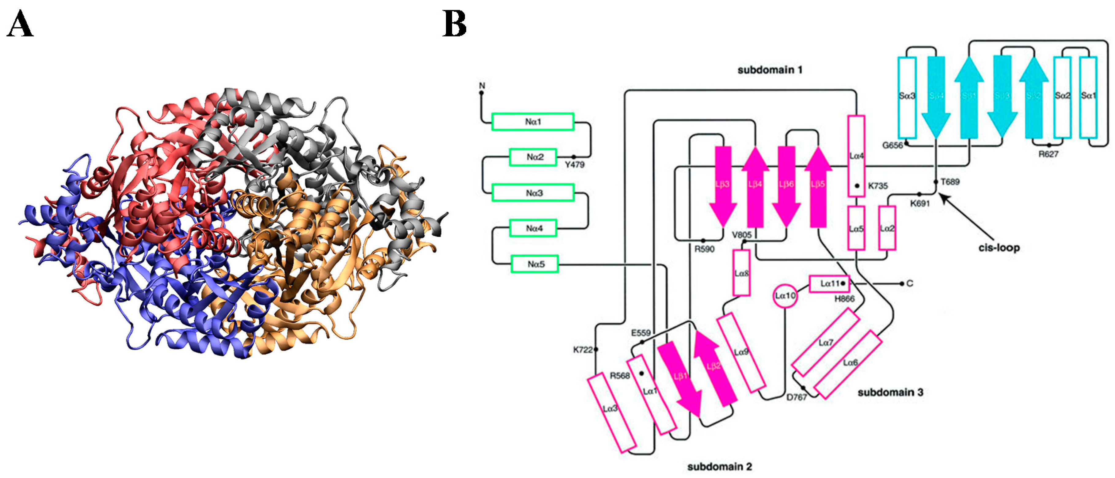 Ijms 21 08745 g002 Ijms 21 08745 g002
