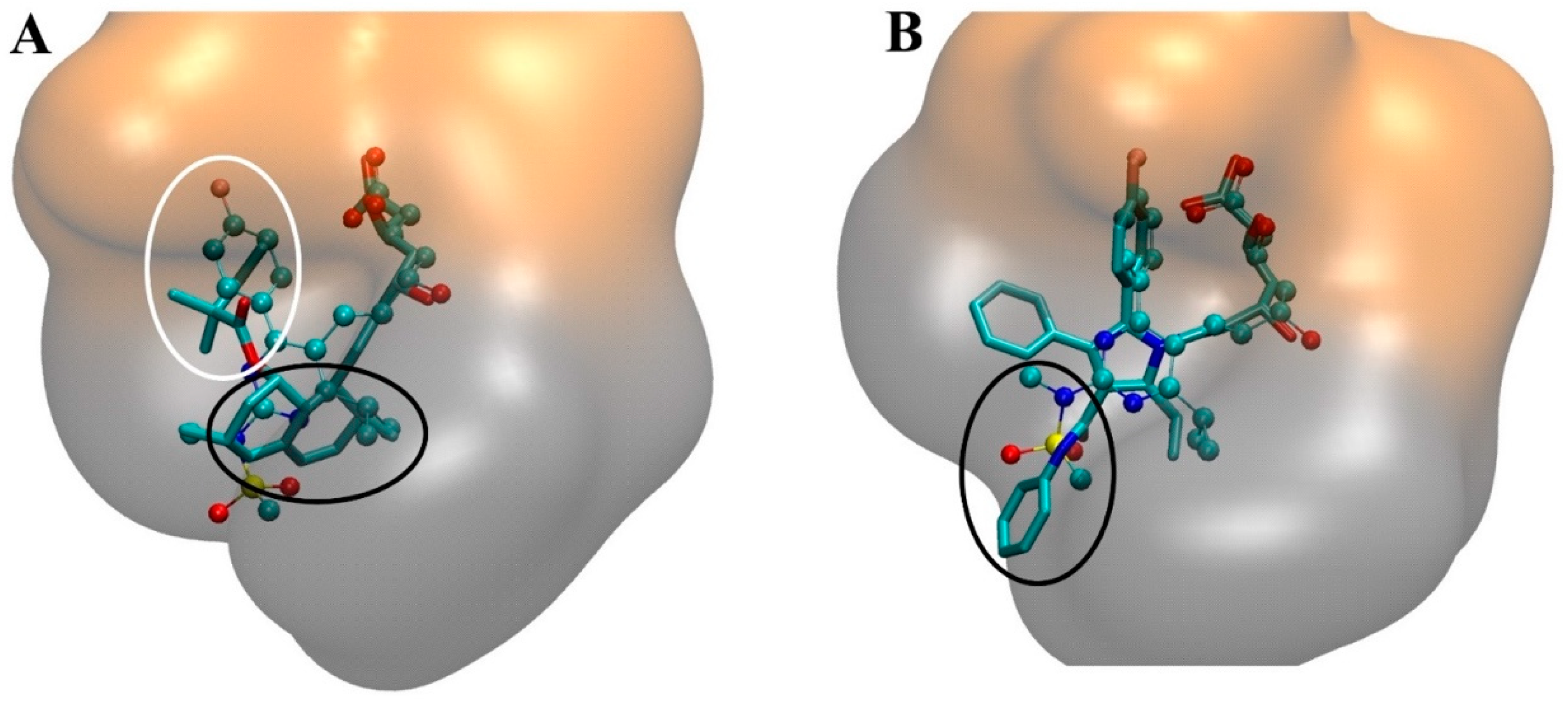 Ijms 21 08745 g004 Ijms 21 08745 g004