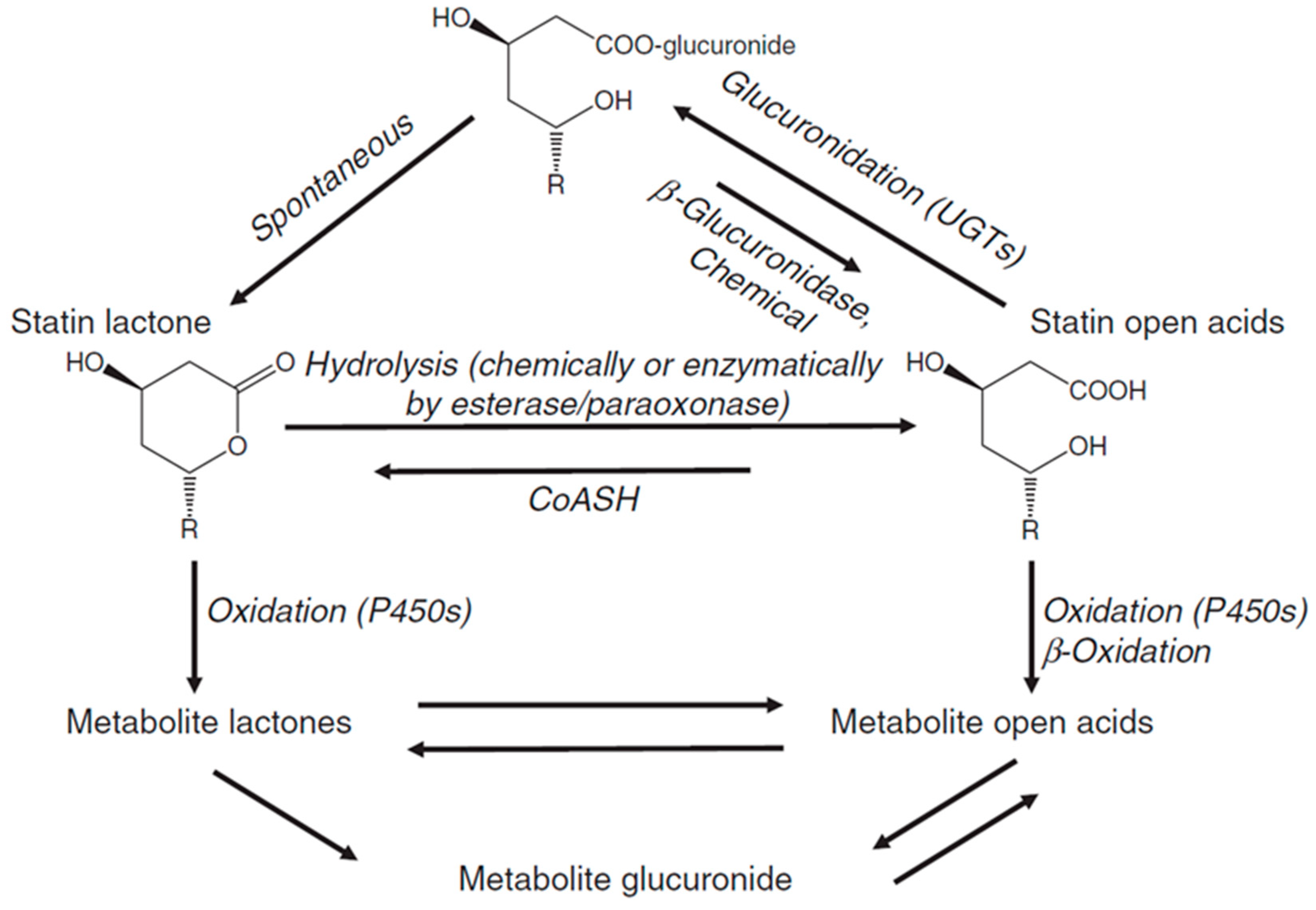 Ijms 21 08745 g007 Ijms 21 08745 g007