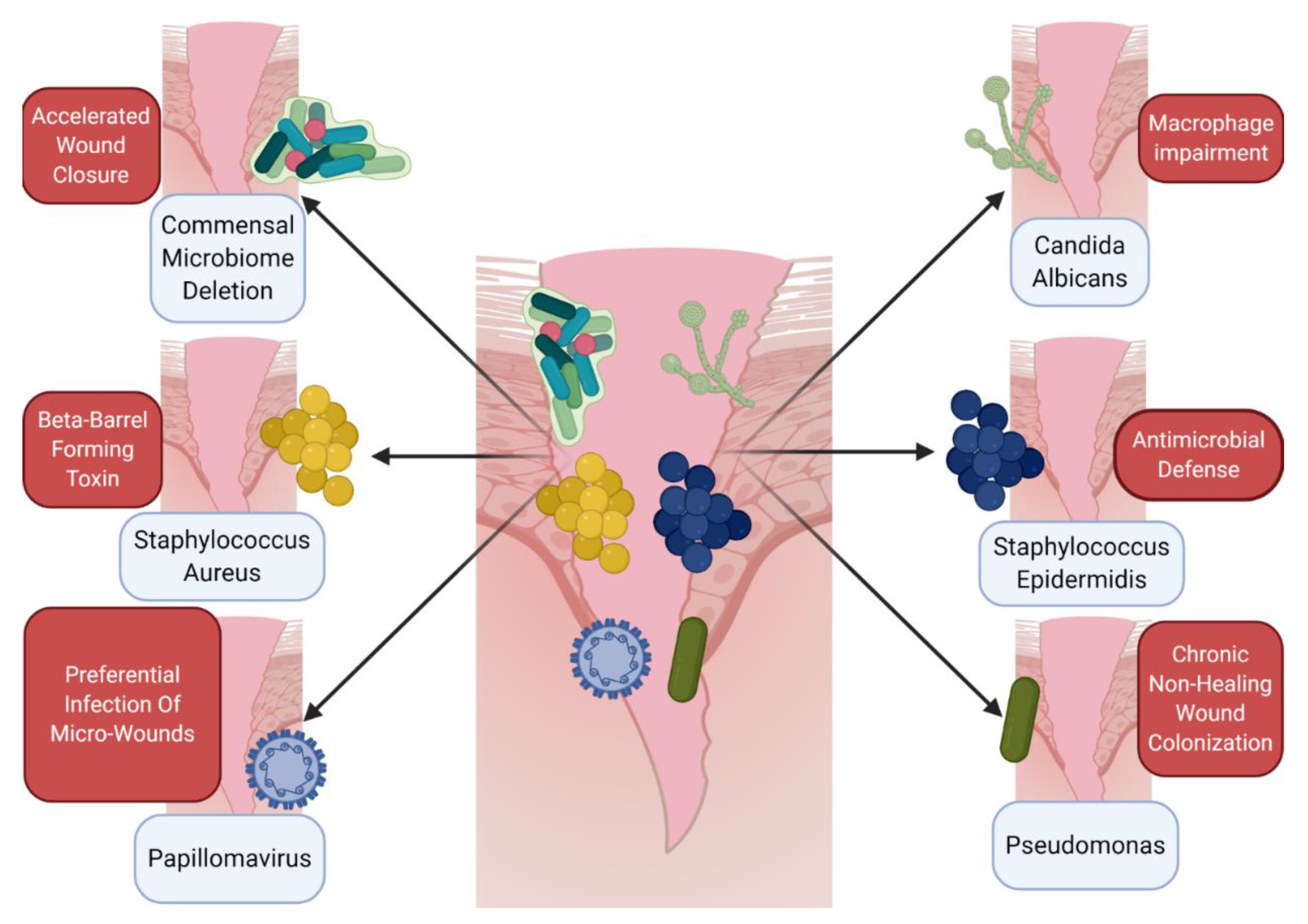 Ijms 21 08748 g001 Ijms 21 08748 g001