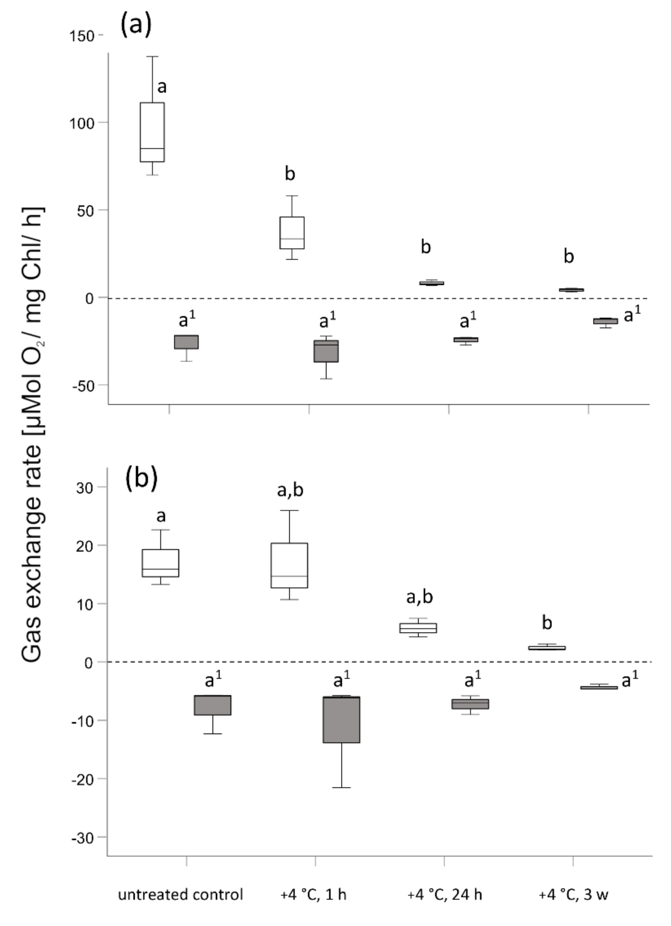 Ijms 21 08753 g007 Ijms 21 08753 g007