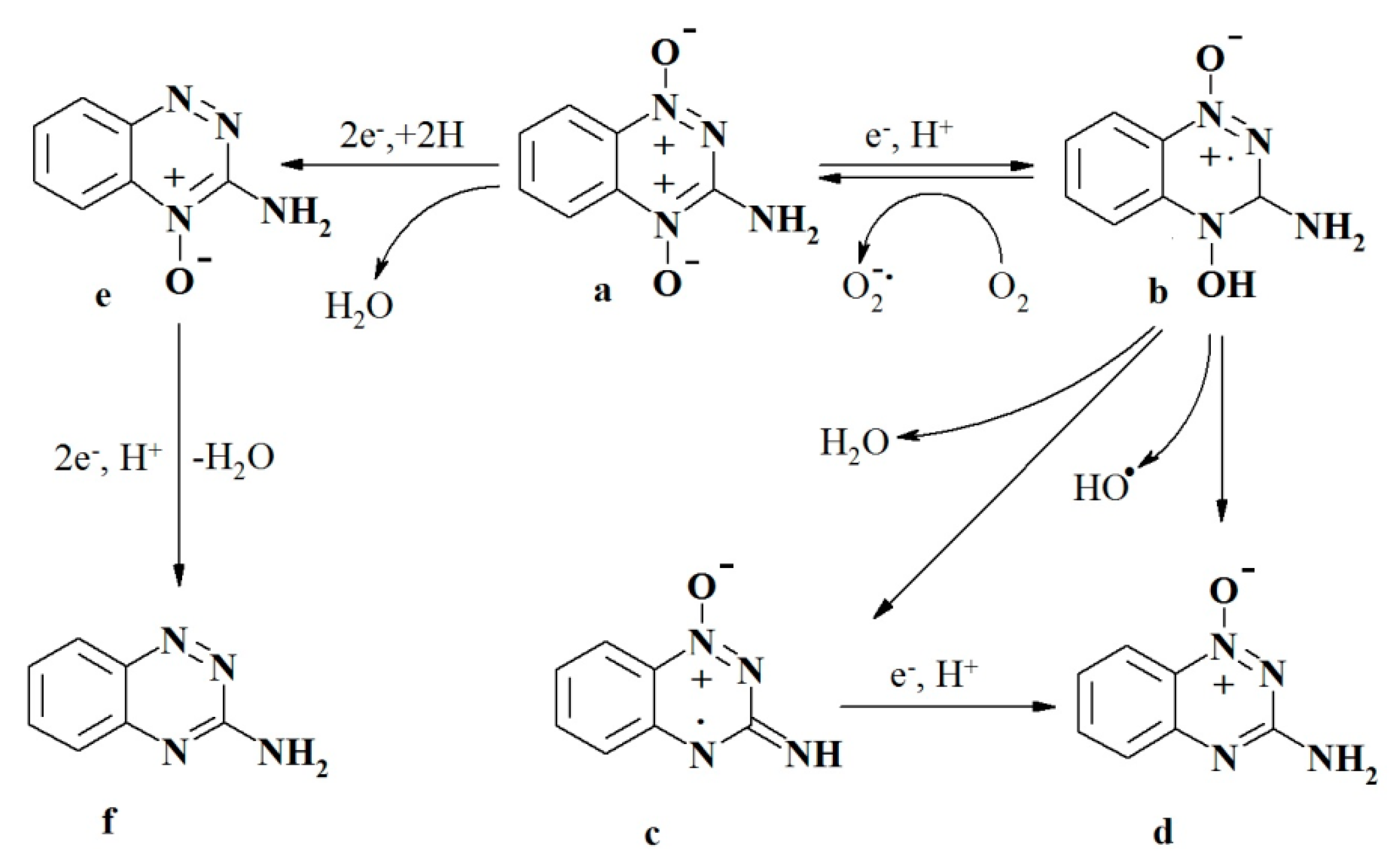 Ijms 21 08754 sch001 Ijms 21 08754 sch001