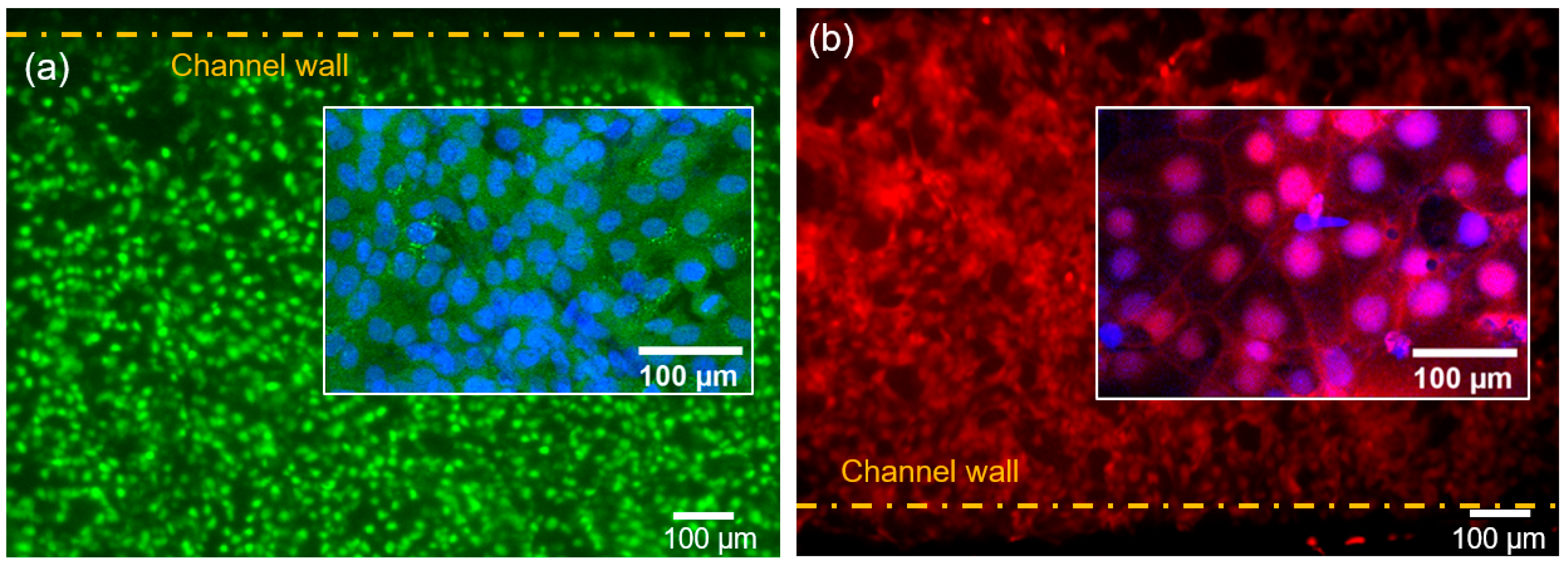 Ijms 21 08755 g002 Ijms 21 08755 g002