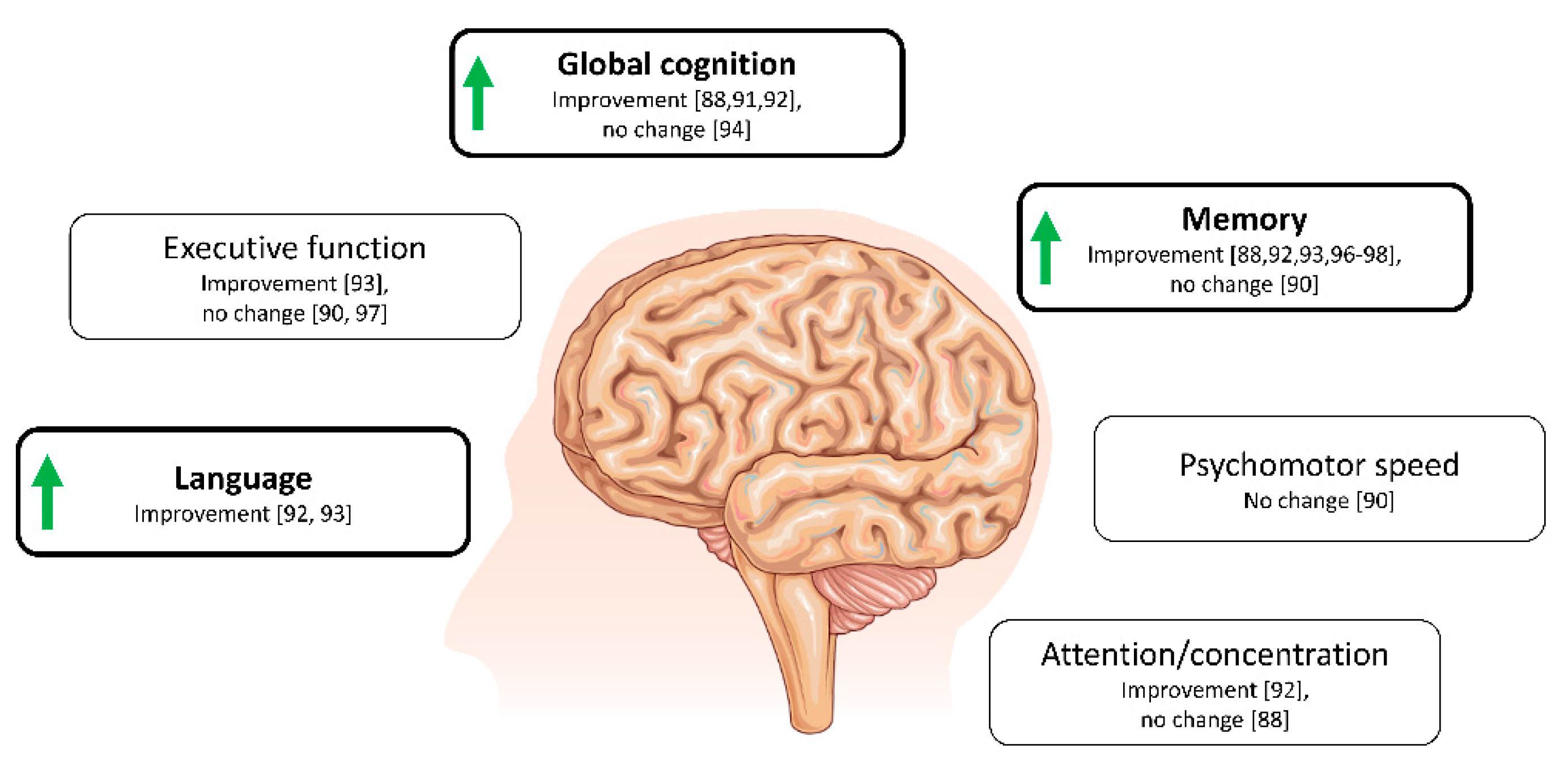 Alzheimer dieta cetogenica