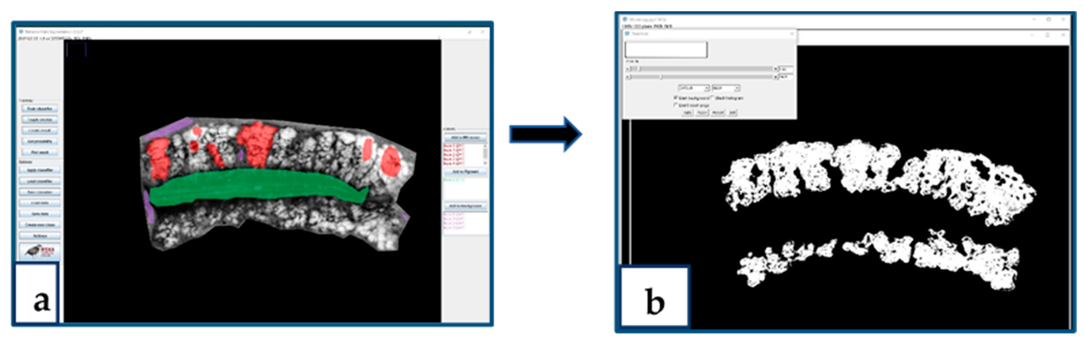 Ijms 21 08772 g0a2 Ijms 21 08772 g0a2