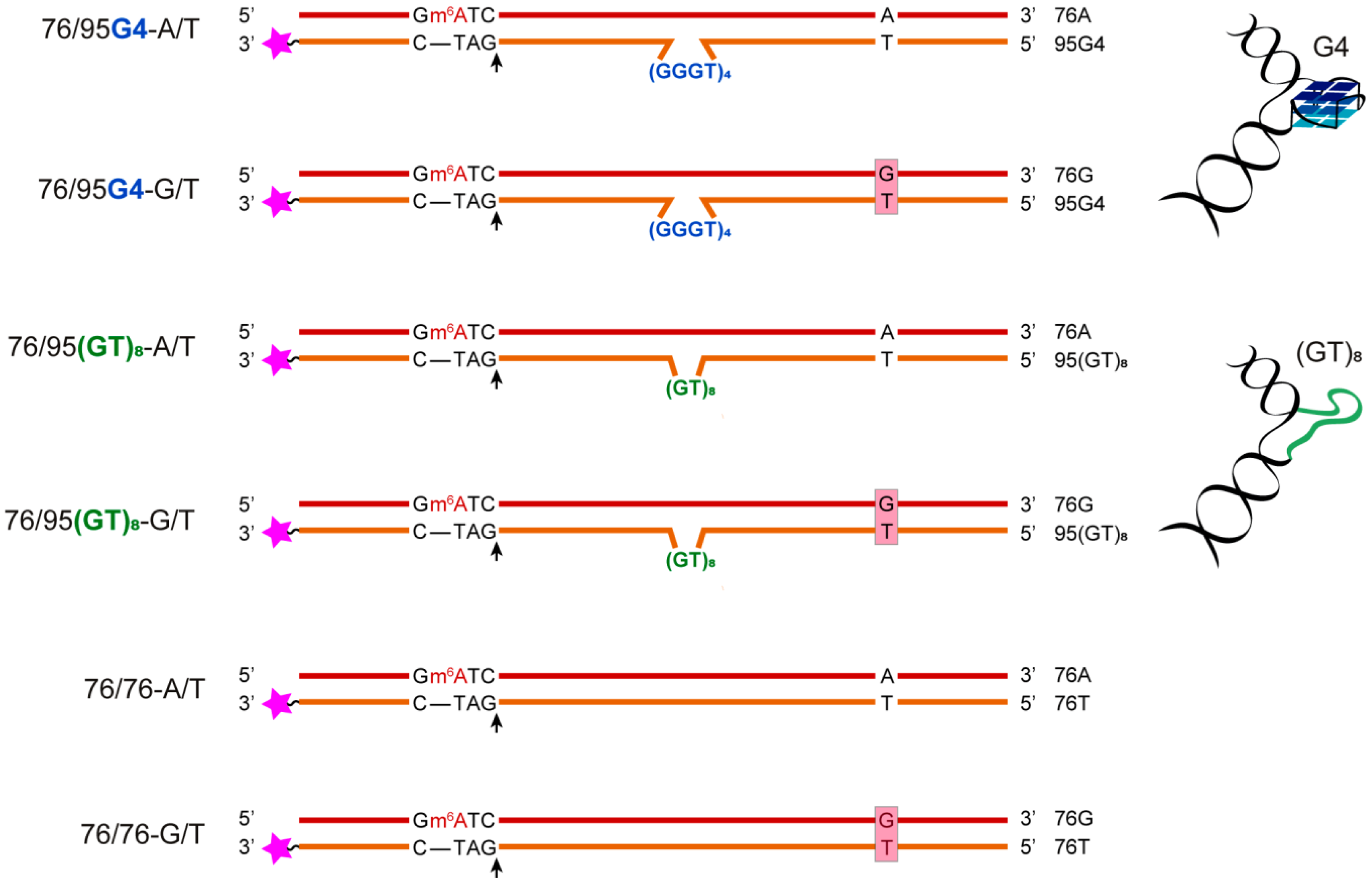 Ijms 21 08773 g001 Ijms 21 08773 g001