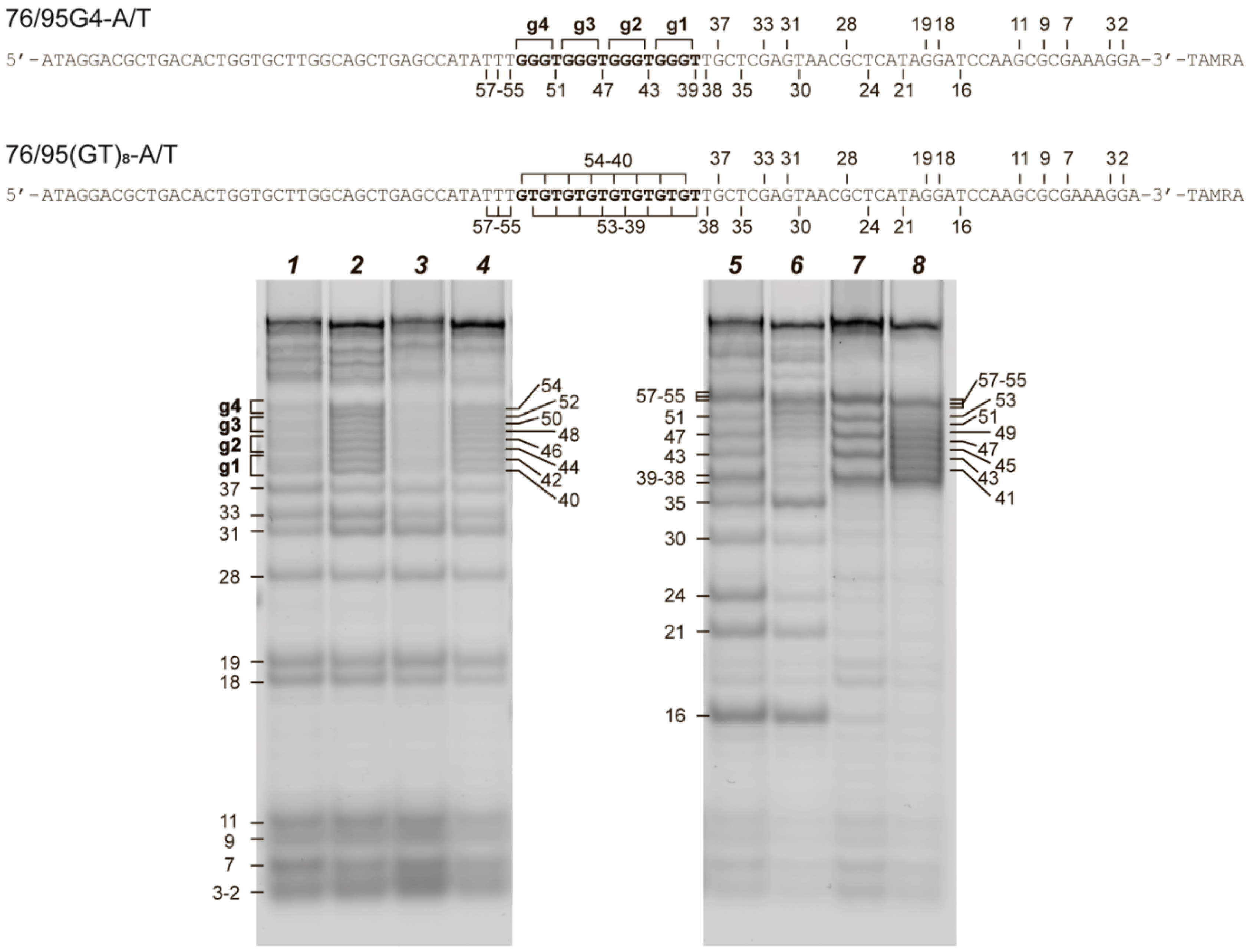 Ijms 21 08773 g003 Ijms 21 08773 g003