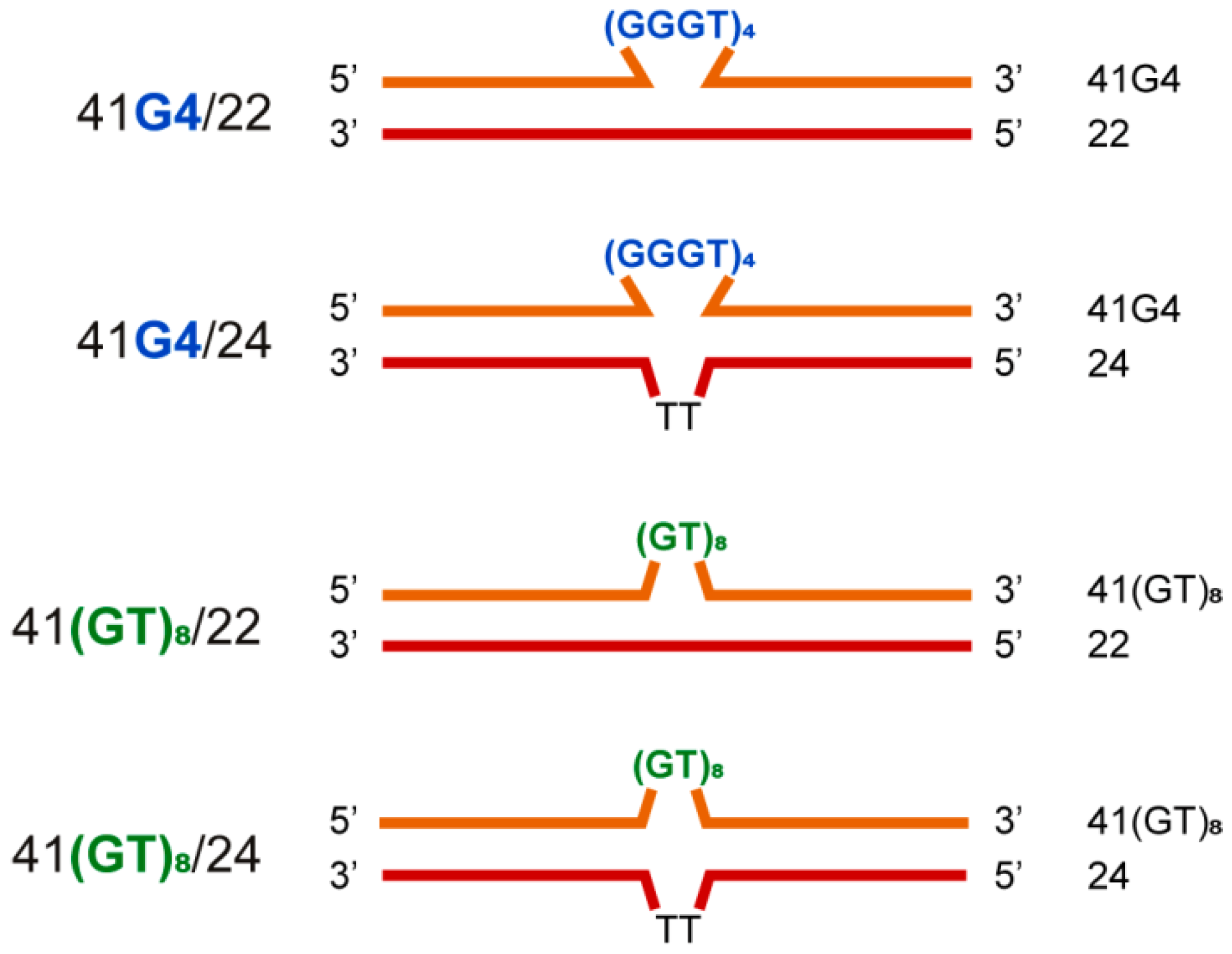 Ijms 21 08773 g004 Ijms 21 08773 g004