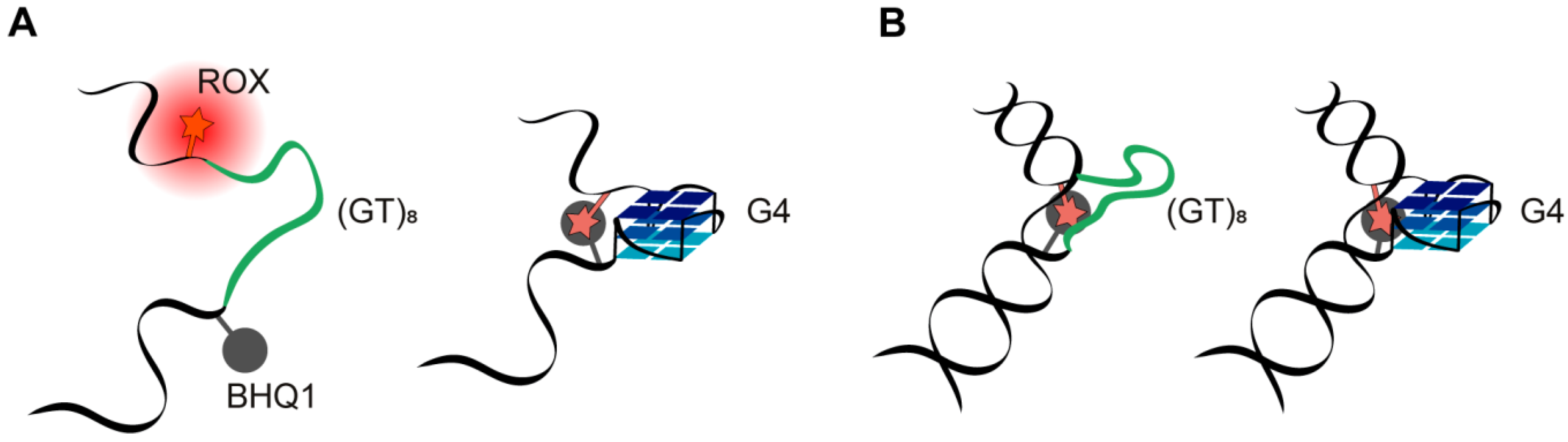 Ijms 21 08773 g007 Ijms 21 08773 g007