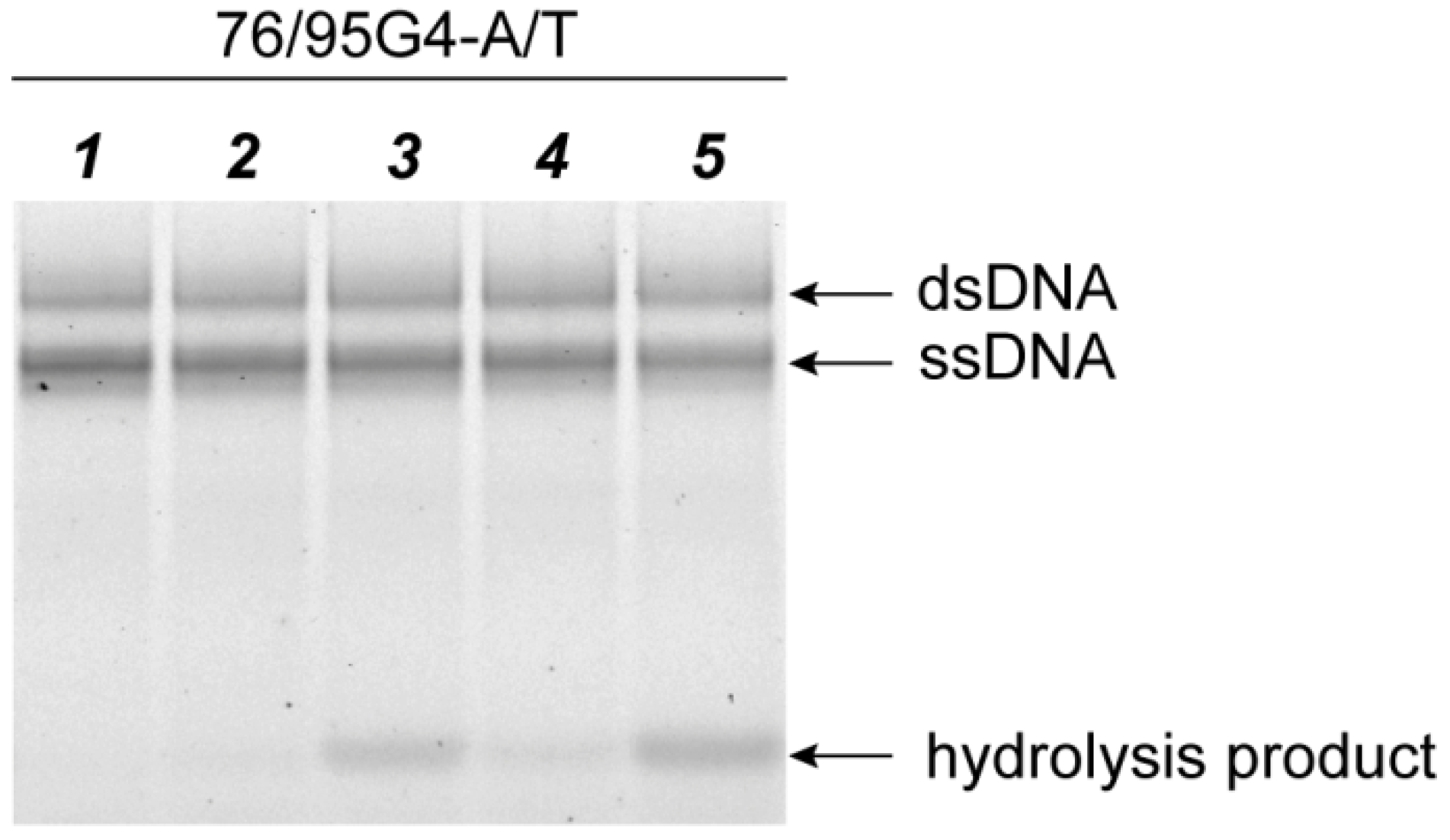 Ijms 21 08773 g009 Ijms 21 08773 g009