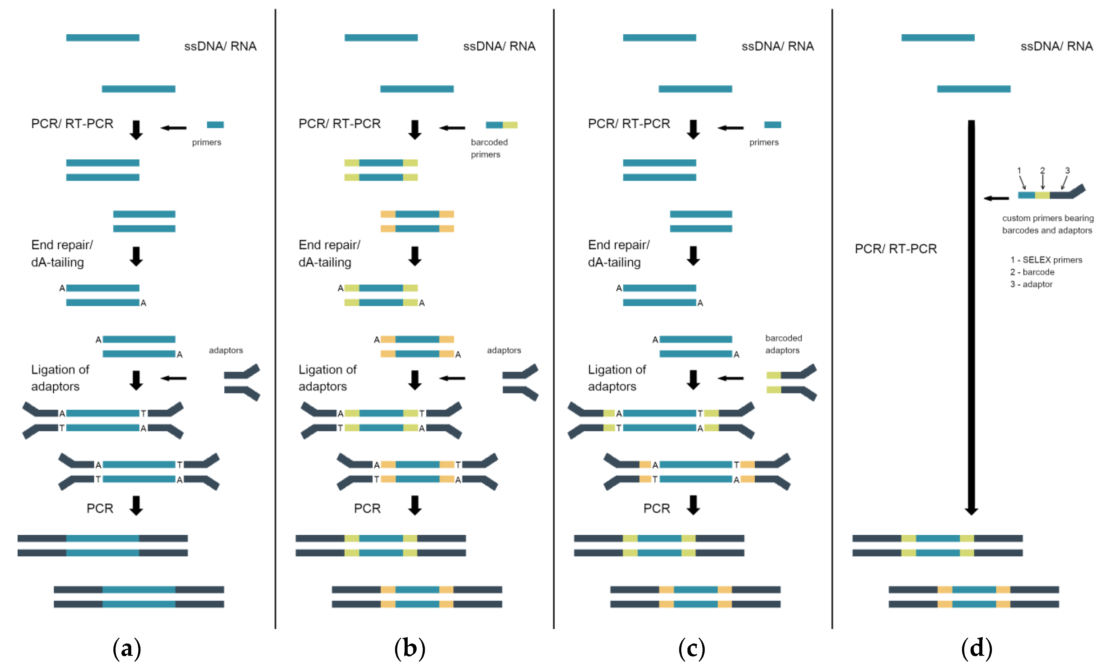 Ijms 21 08774 g002 Ijms 21 08774 g002