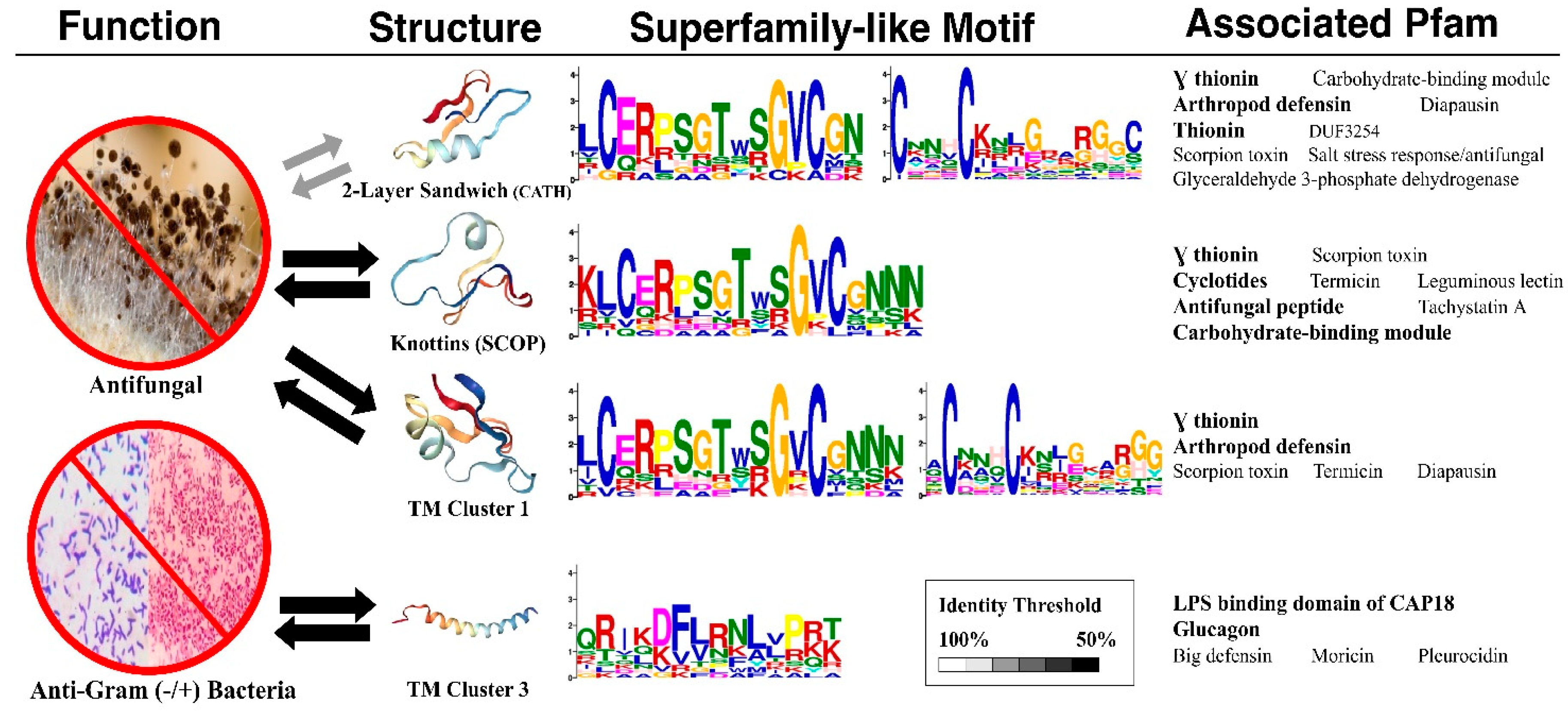 Ijms 21 08783 g007 Ijms 21 08783 g007