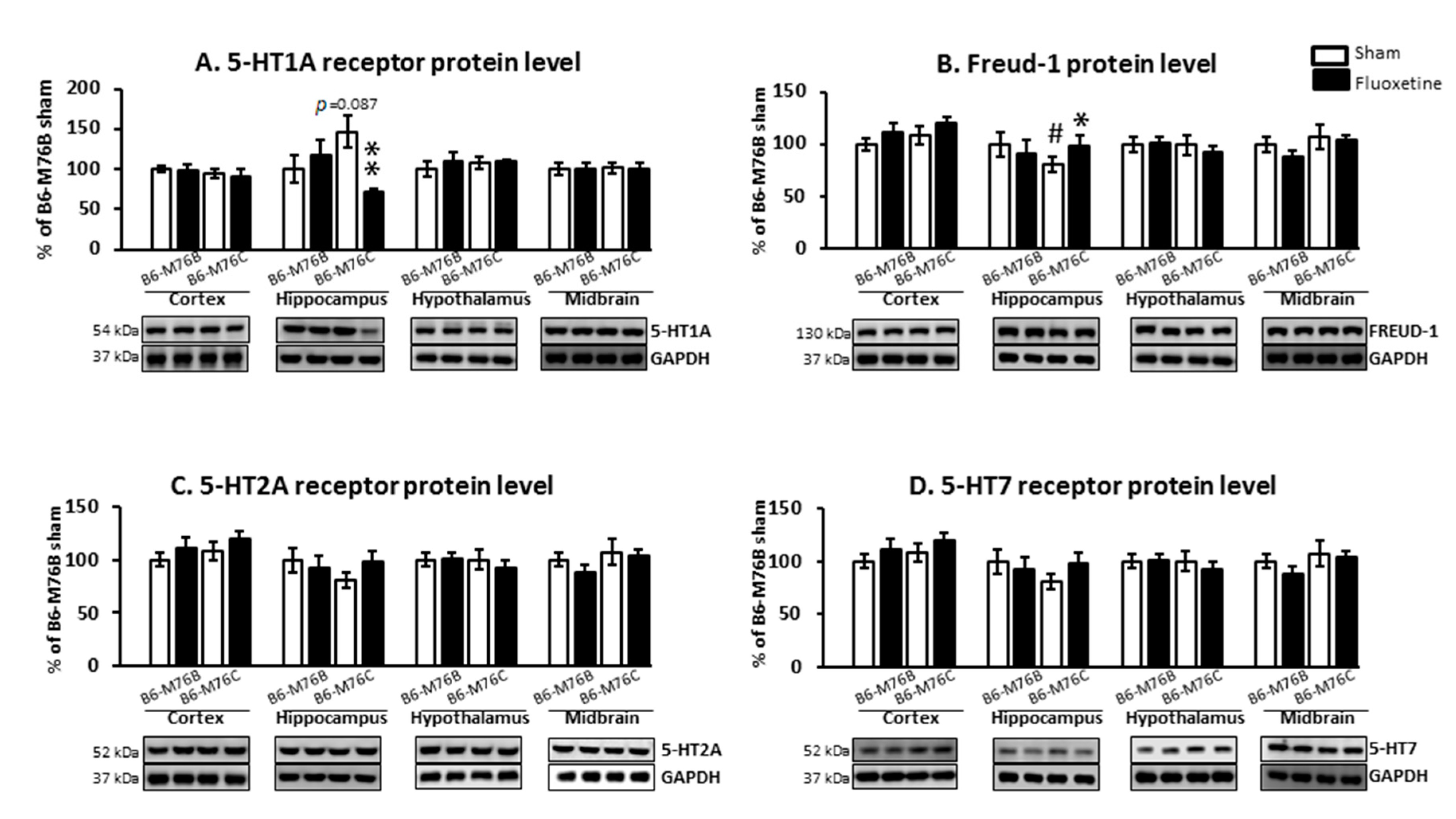 Ijms 21 08784 g005 Ijms 21 08784 g005