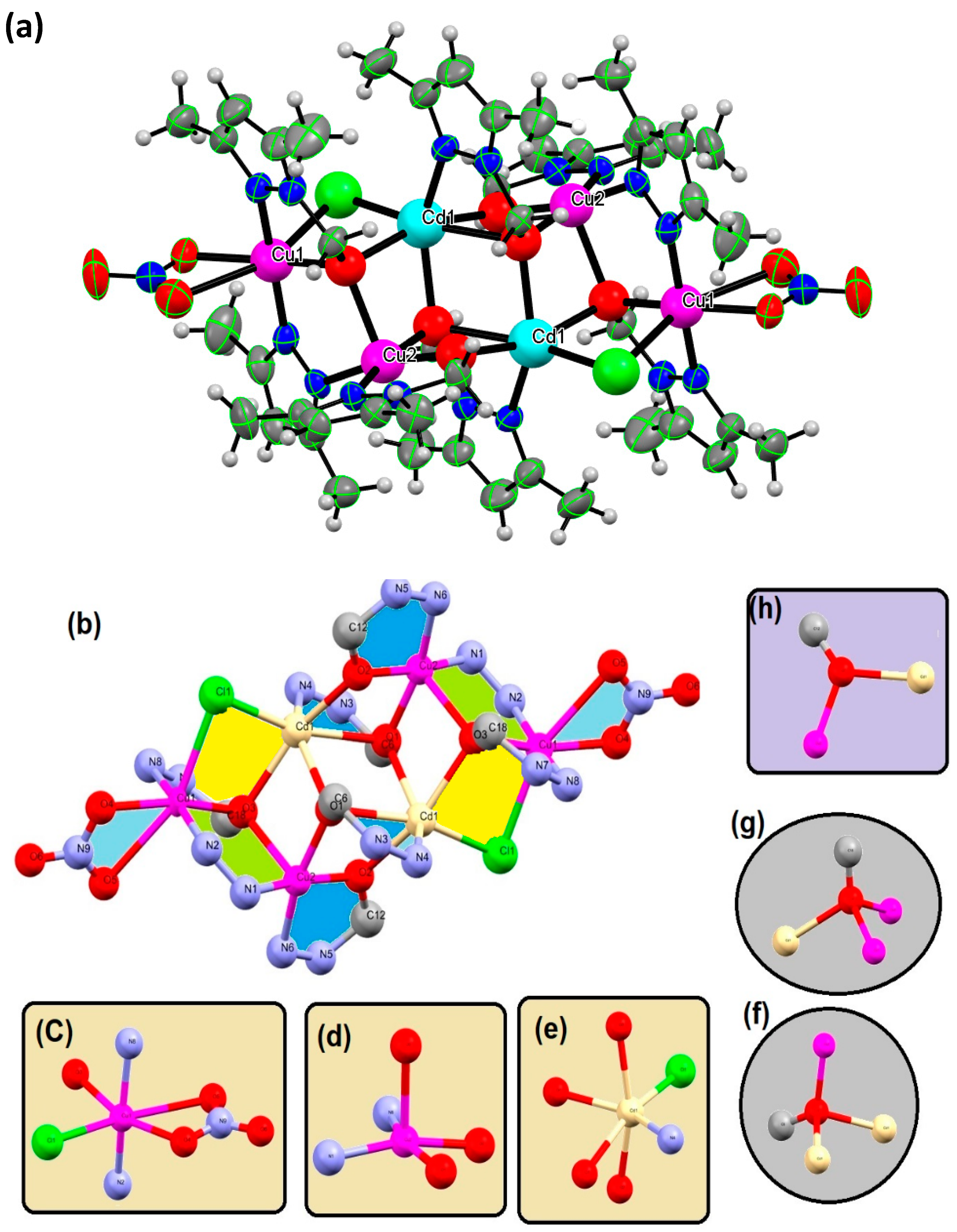Ijms 21 08787 g001 Ijms 21 08787 g001