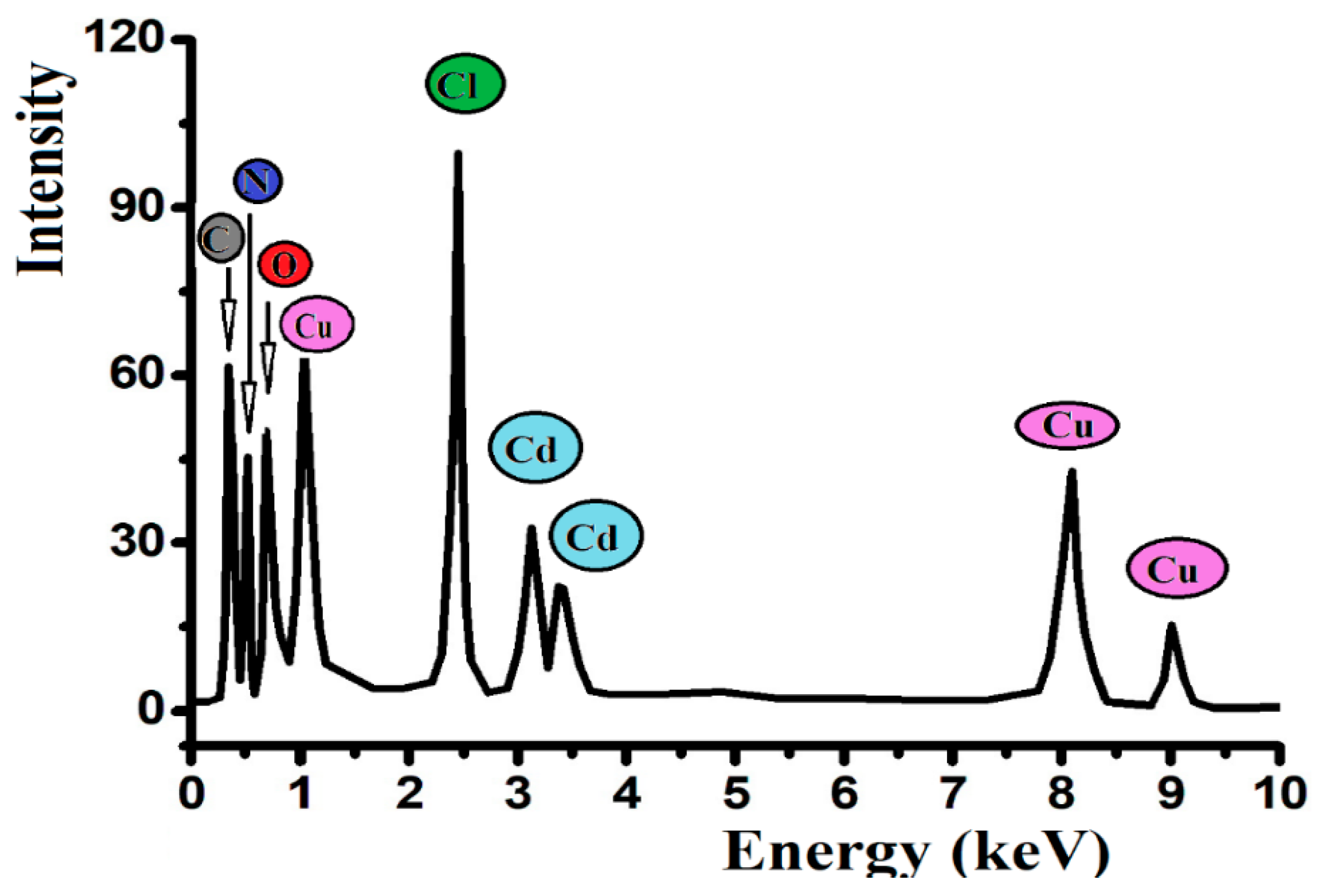 Ijms 21 08787 g006 Ijms 21 08787 g006