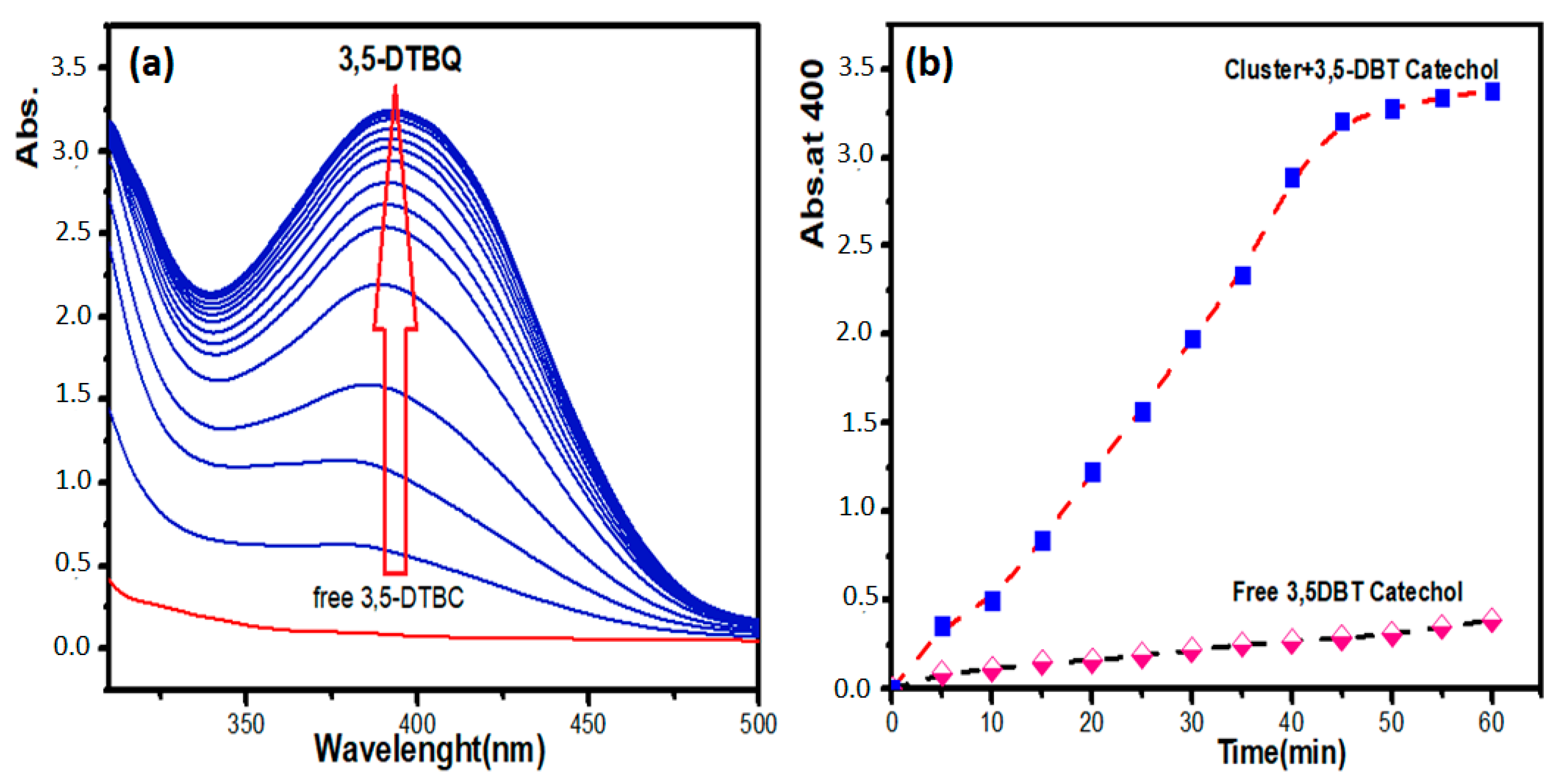Ijms 21 08787 g008 Ijms 21 08787 g008