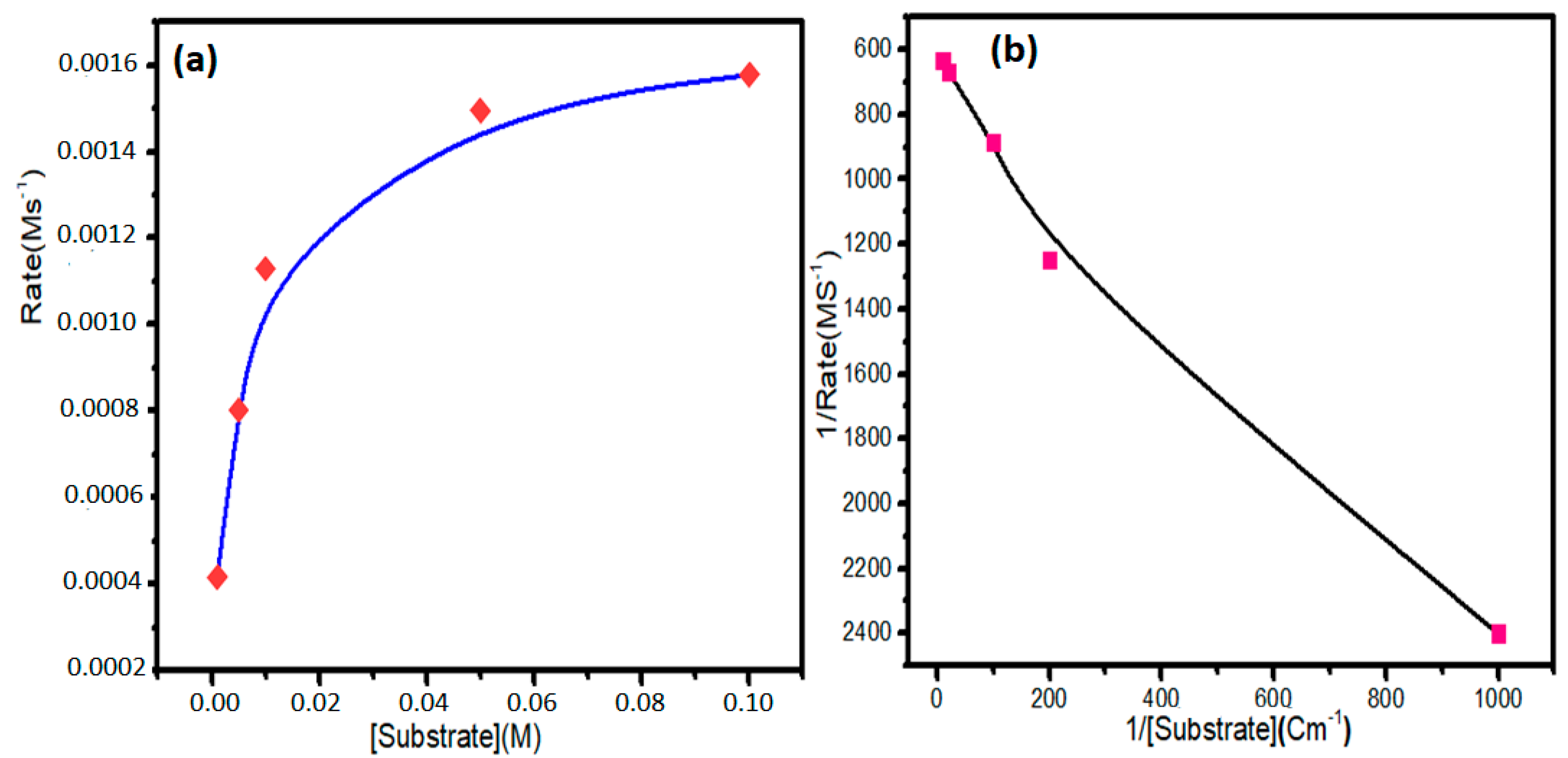 Ijms 21 08787 g009 Ijms 21 08787 g009