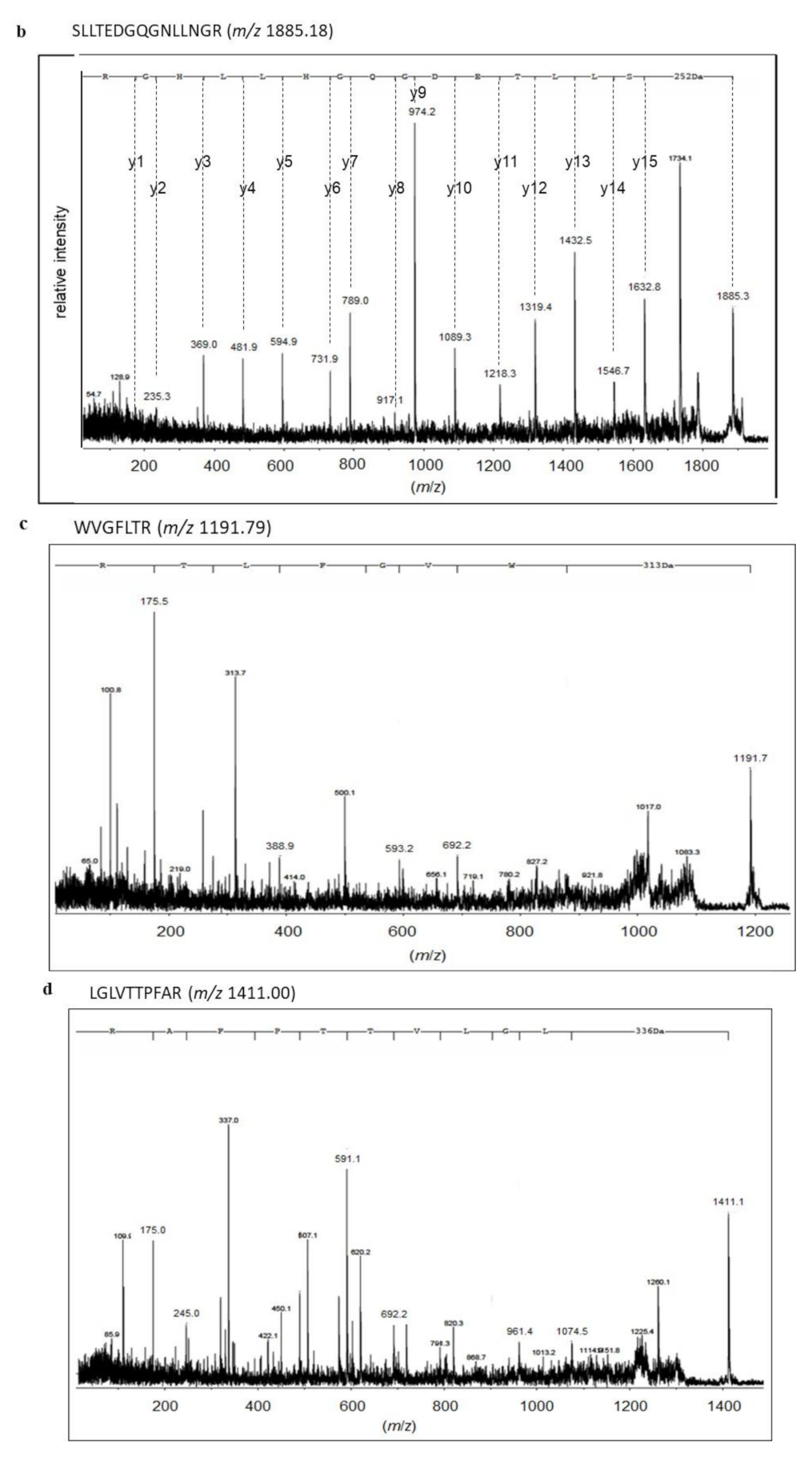 Ijms 21 08789 g003b Ijms 21 08789 g003b