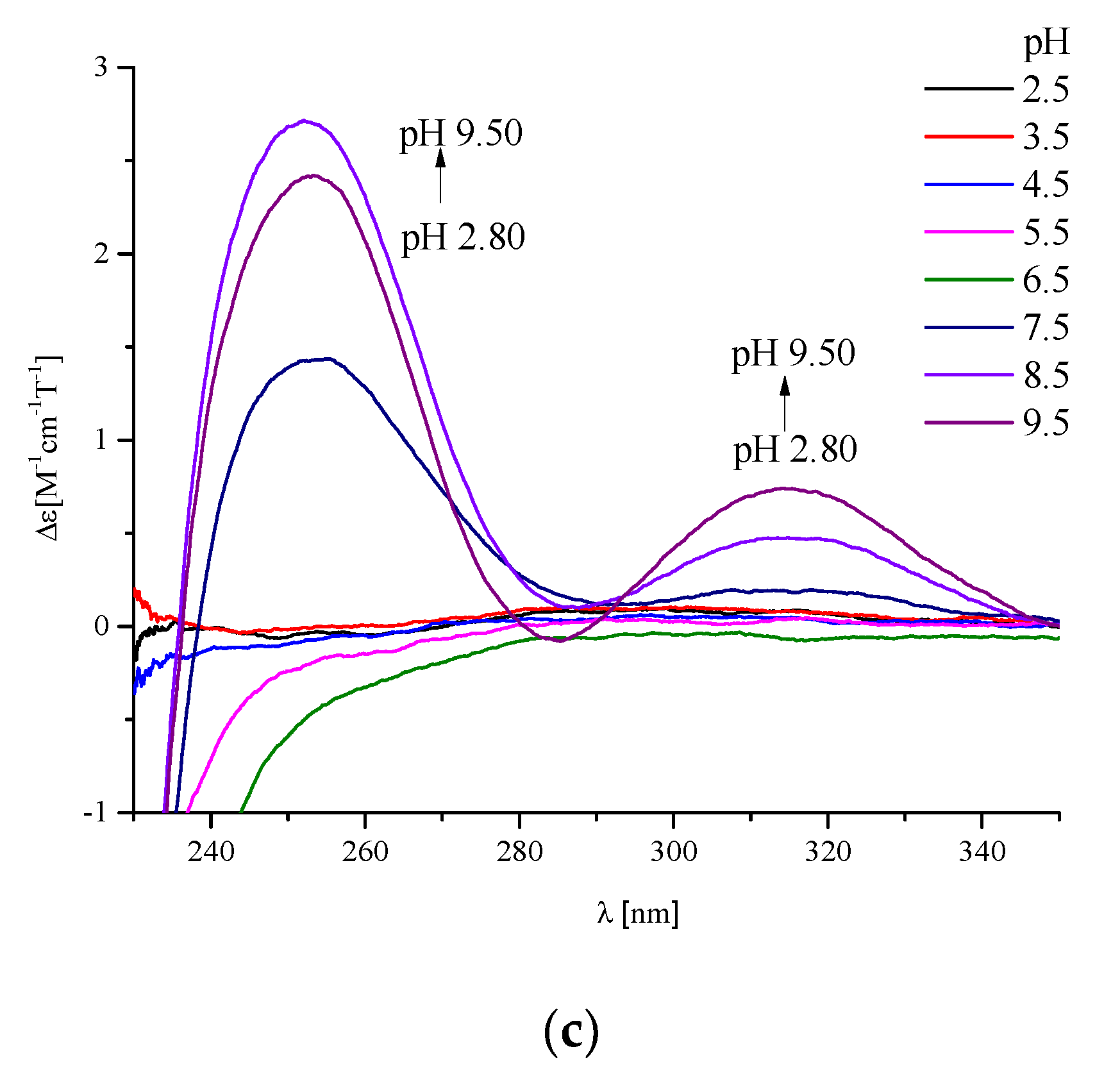 Ijms 21 08794 g008b Ijms 21 08794 g008b