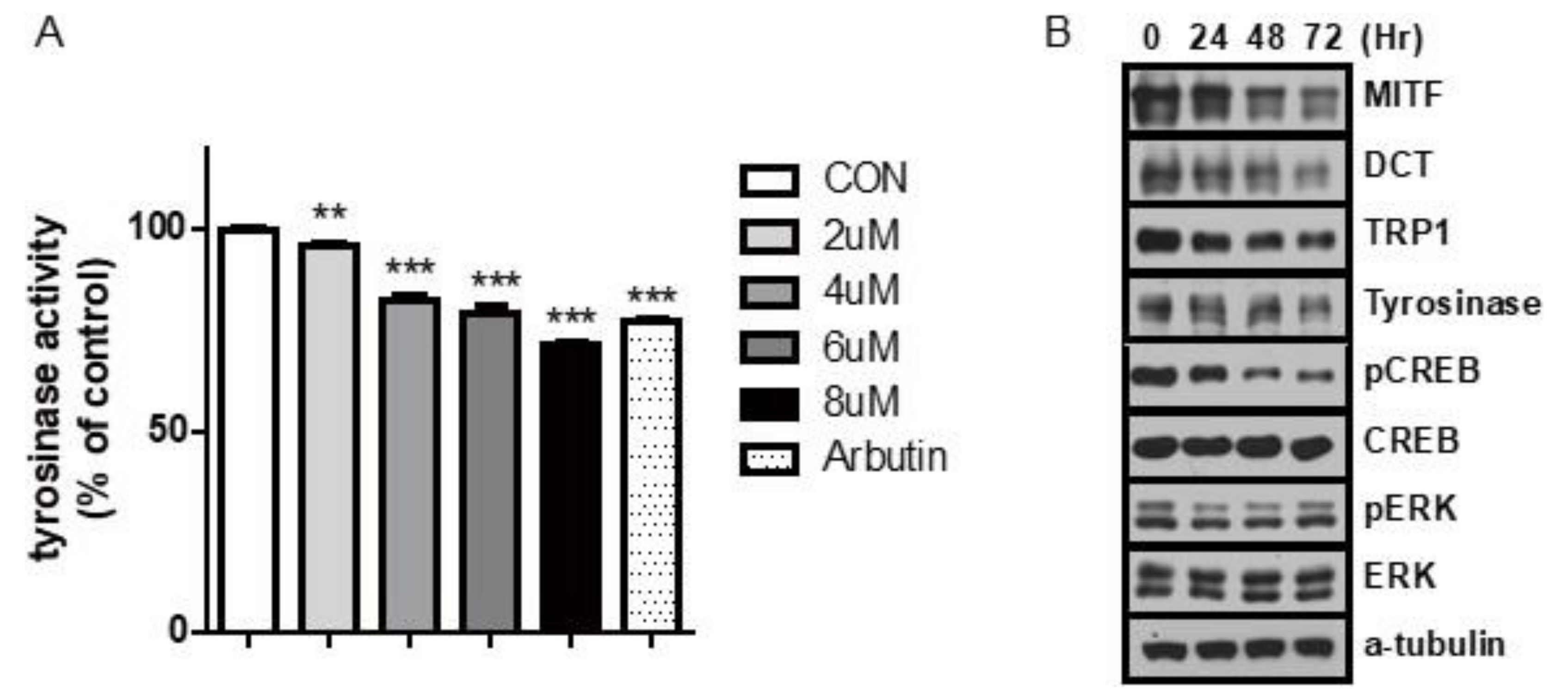 Ijms 21 08796 g002 Ijms 21 08796 g002
