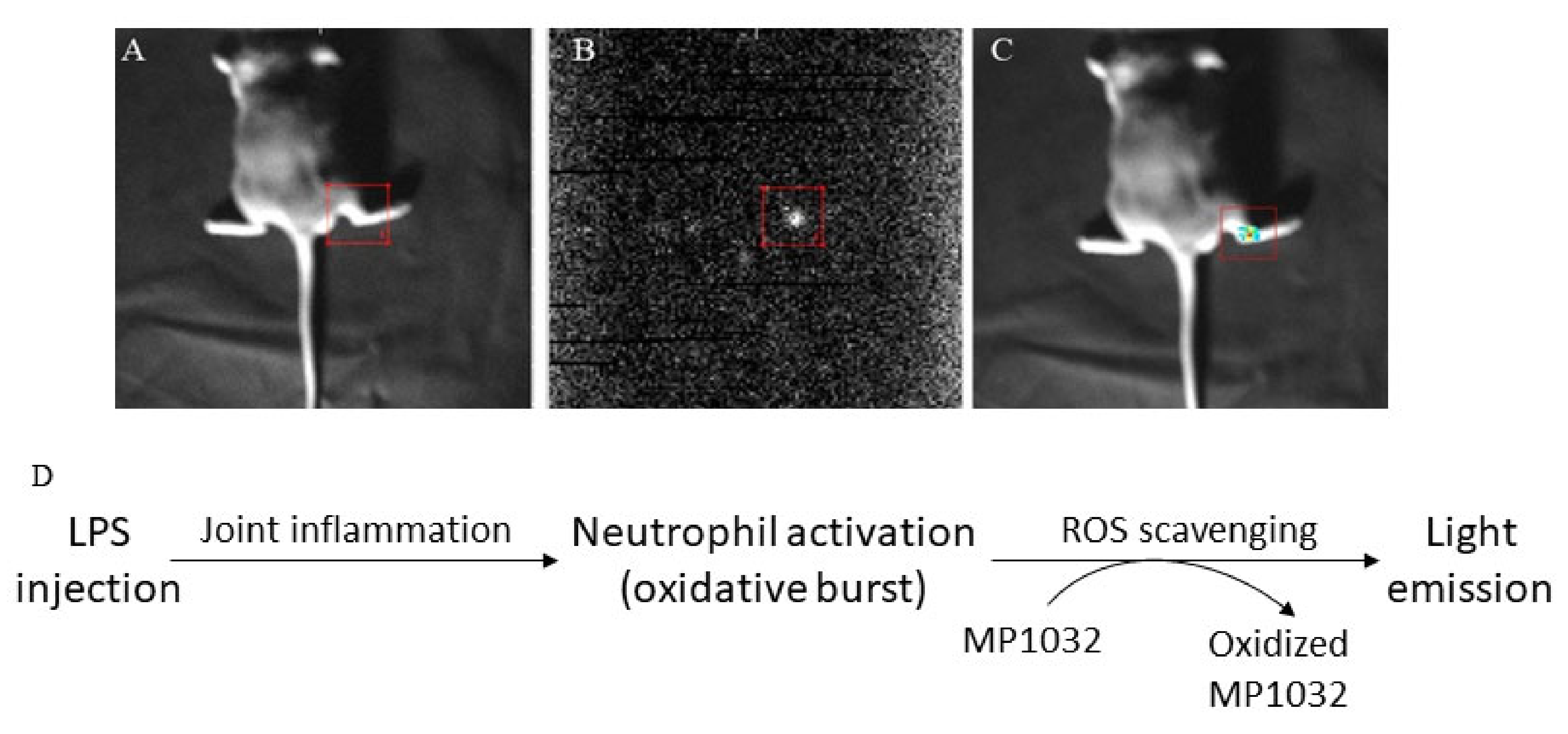 Ijms 21 08803 g001 Ijms 21 08803 g001