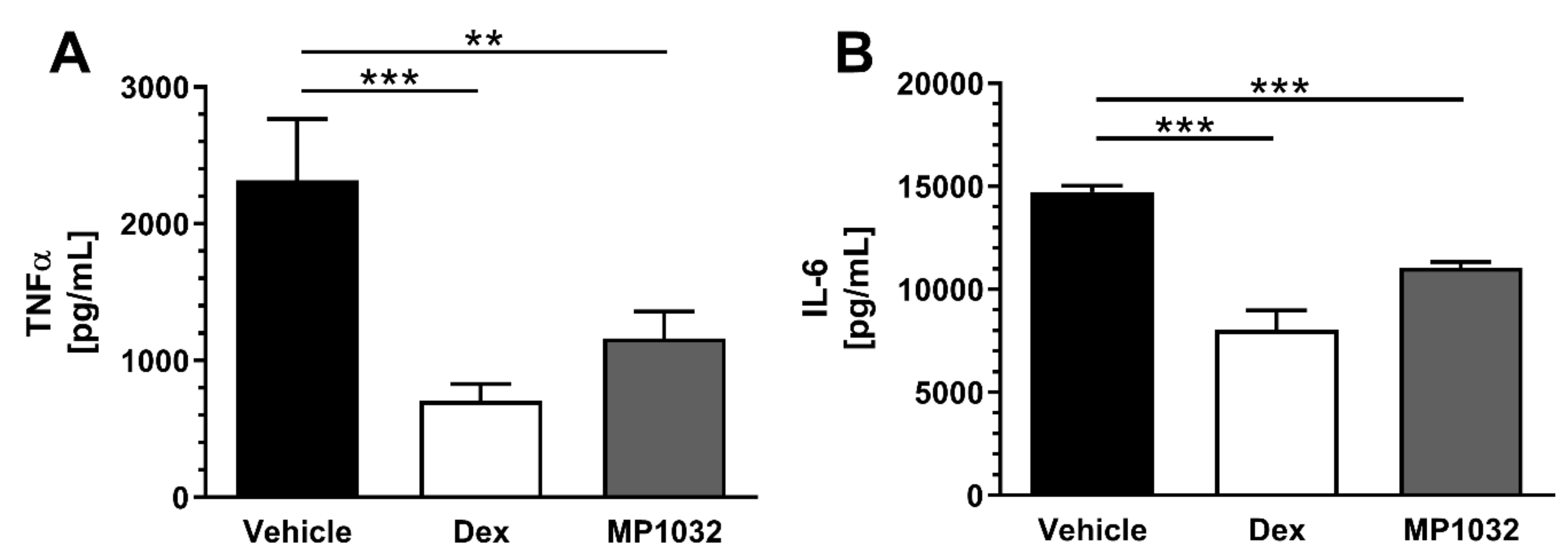 Ijms 21 08803 g004 Ijms 21 08803 g004
