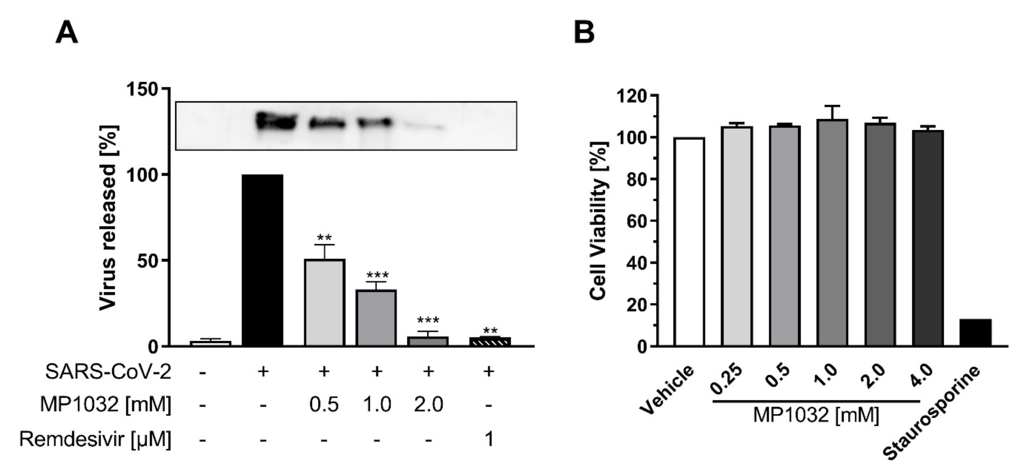 Ijms 21 08803 g005 Ijms 21 08803 g005
