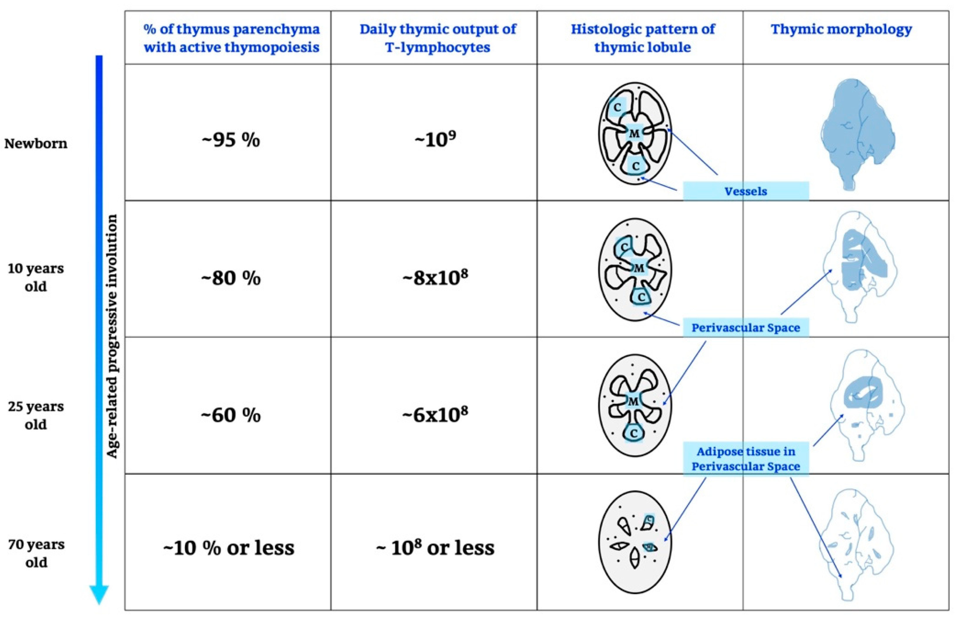 Ijms 21 08806 g001 Ijms 21 08806 g001