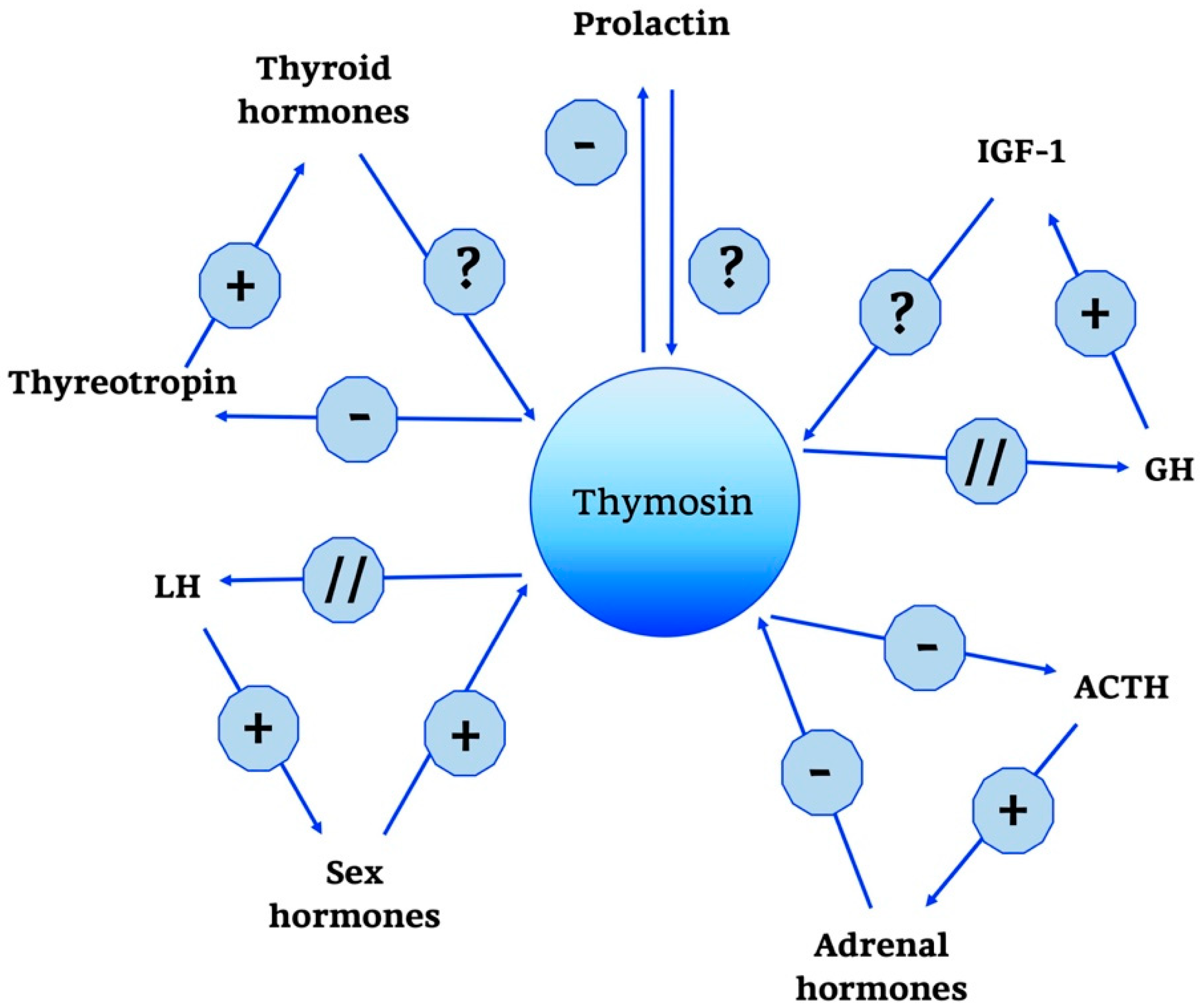 Ijms 21 08806 g004 Ijms 21 08806 g004