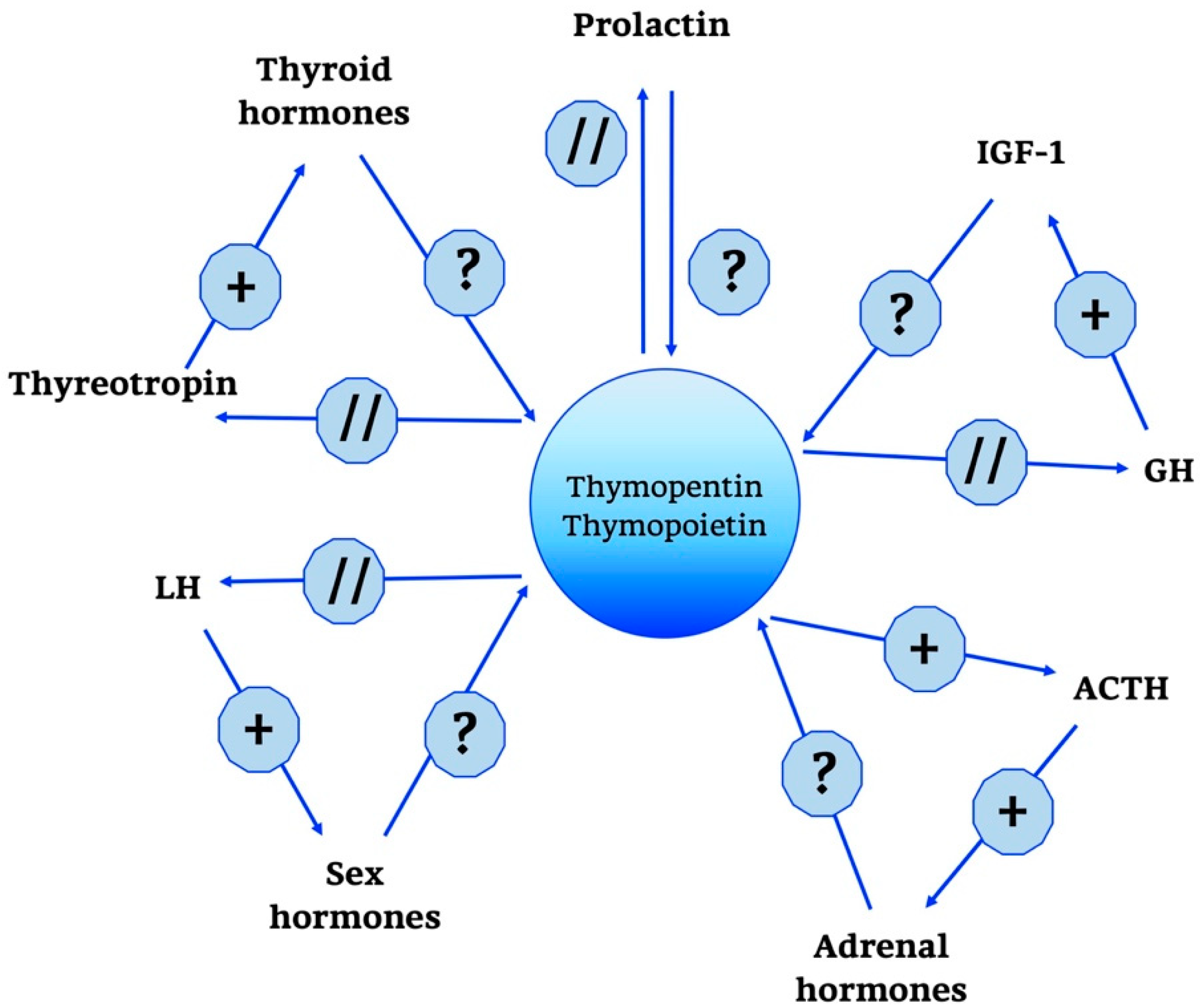Ijms 21 08806 g005 Ijms 21 08806 g005