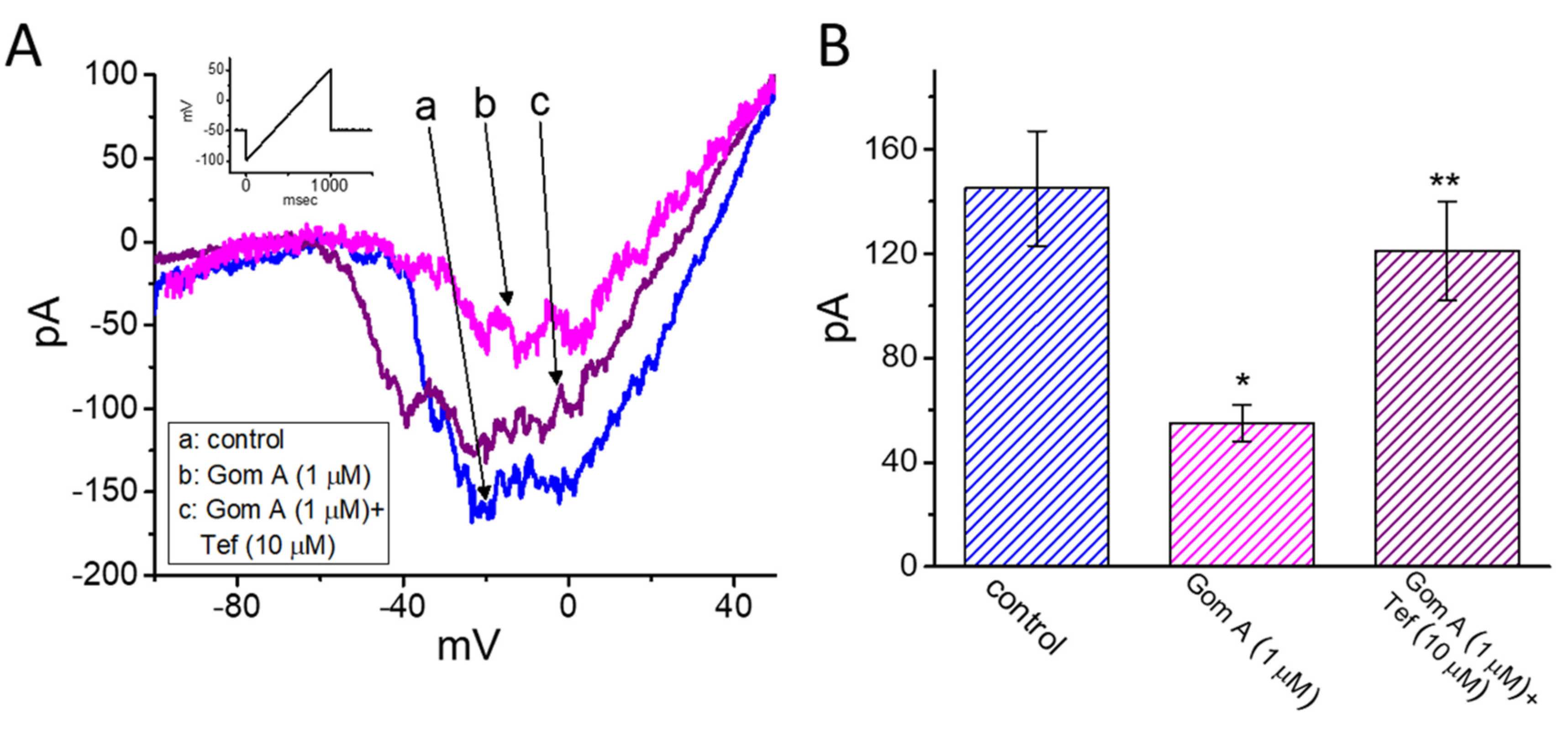 Ijms 21 08816 g004 Ijms 21 08816 g004