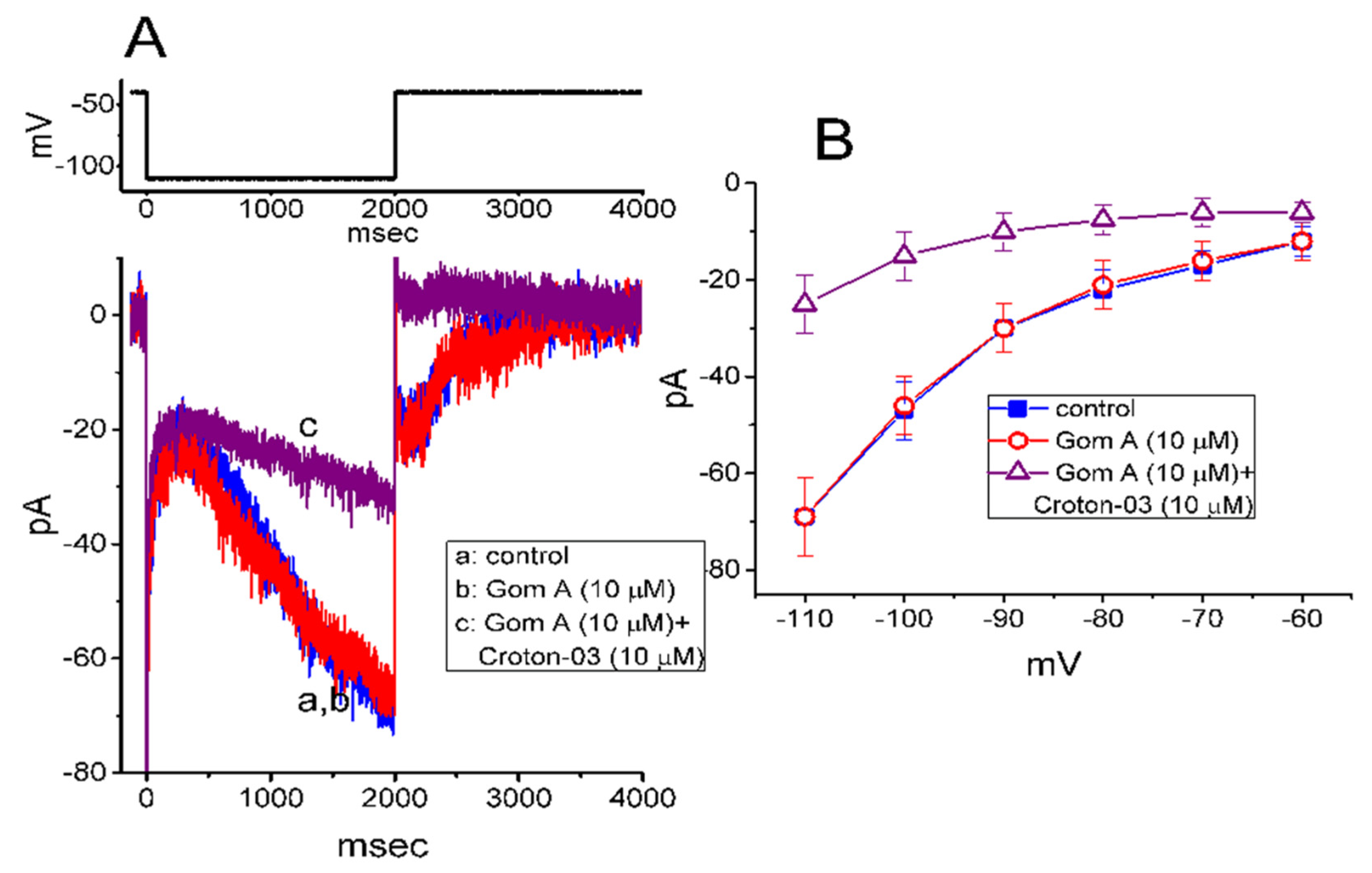 Ijms 21 08816 g006 Ijms 21 08816 g006