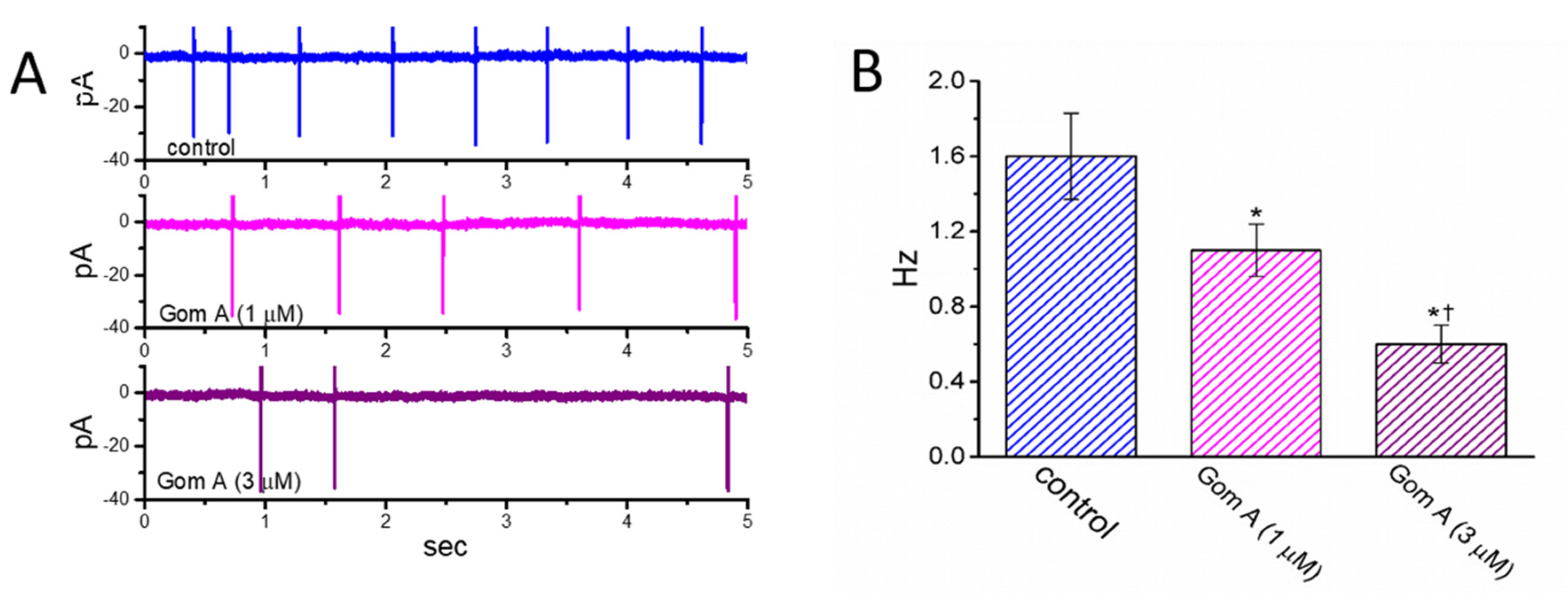Ijms 21 08816 g007 Ijms 21 08816 g007