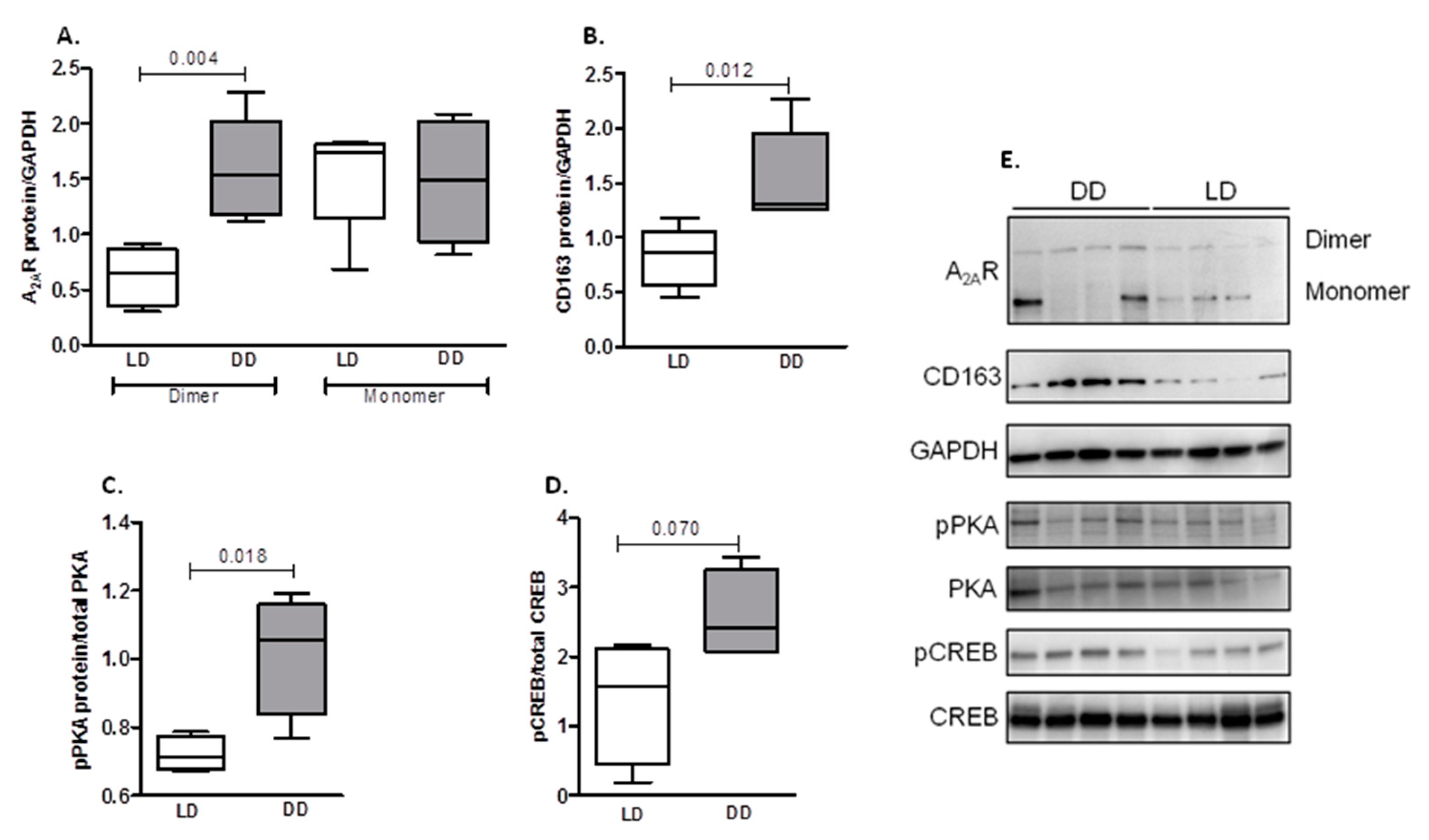 Ijms 21 08826 g004 Ijms 21 08826 g004
