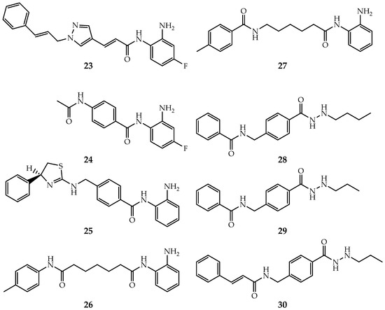 Structure-Based Inhibitor Discovery of Class I Histone Deacetylases (HDACs)