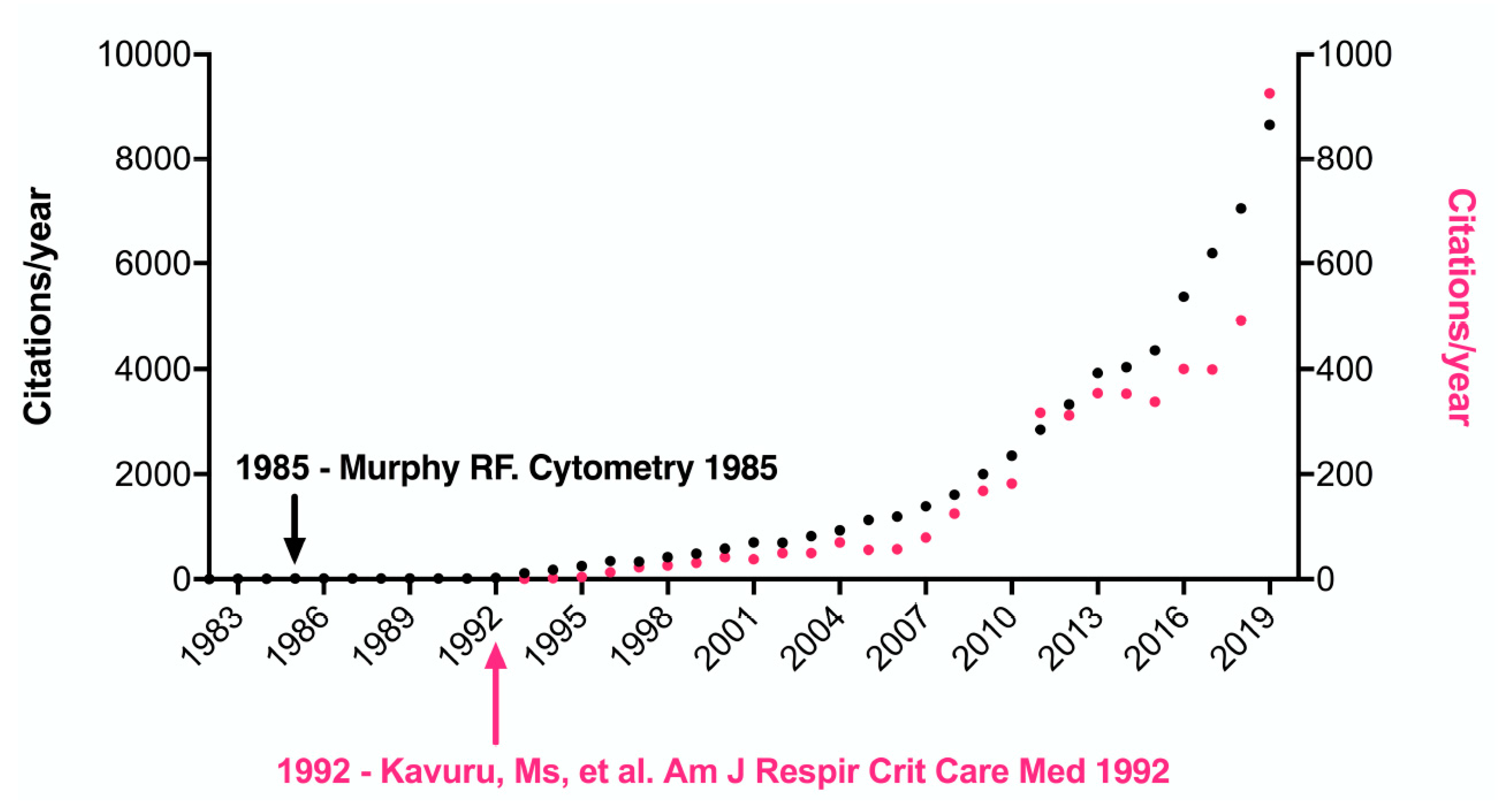 Ijms 21 08830 g005 Ijms 21 08830 g005