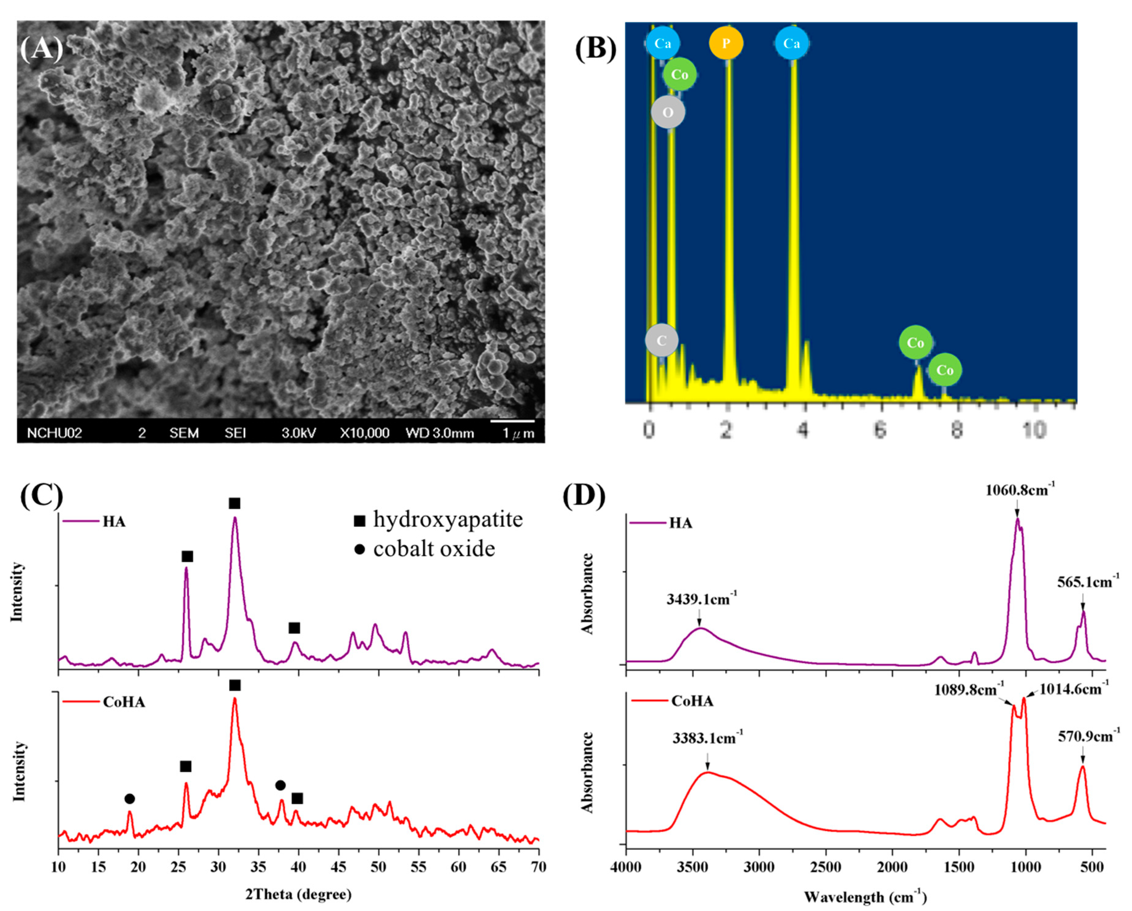 Ijms 21 08831 g001 Ijms 21 08831 g001