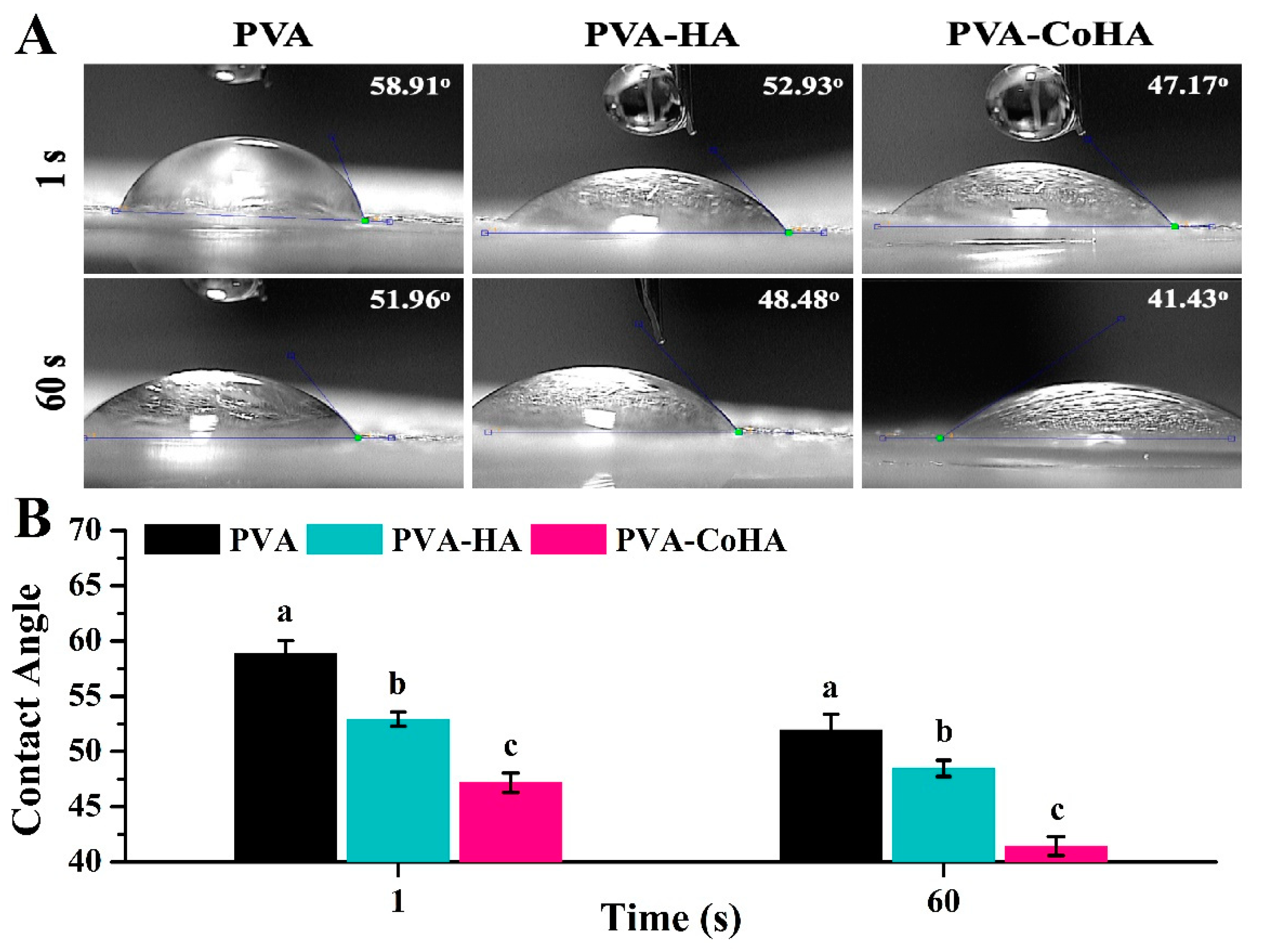 Ijms 21 08831 g005 Ijms 21 08831 g005