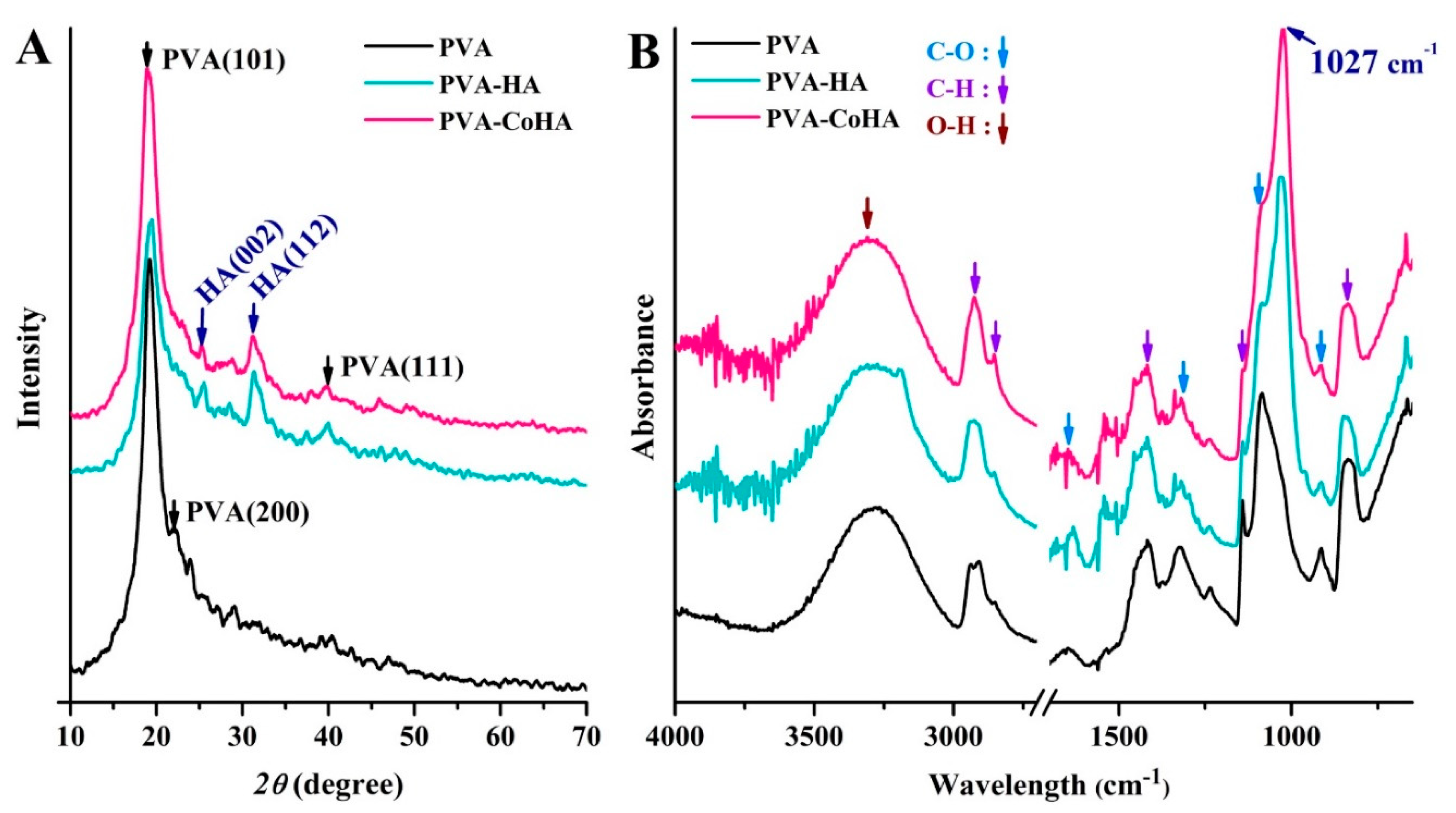 Ijms 21 08831 g006 Ijms 21 08831 g006