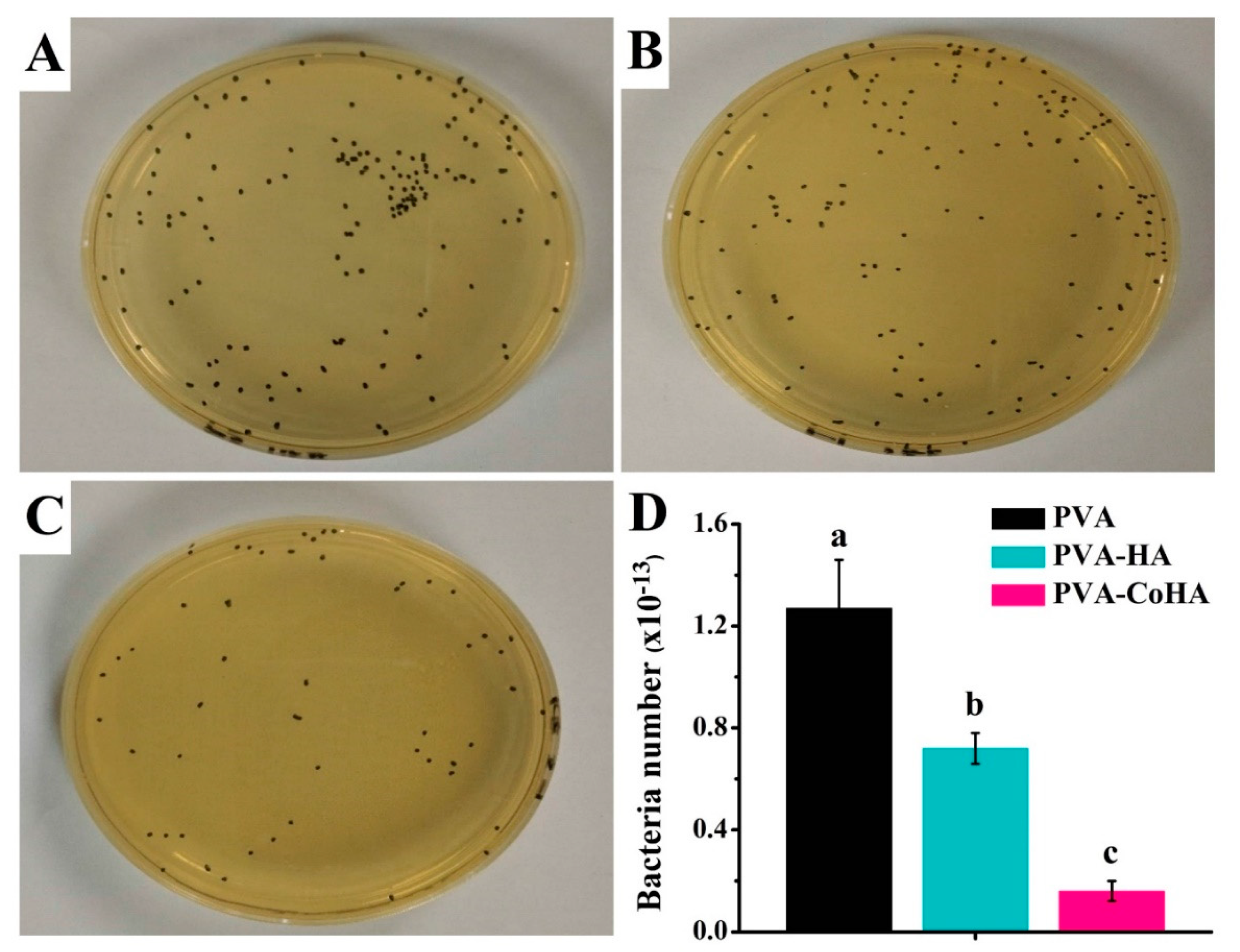 Ijms 21 08831 g008 Ijms 21 08831 g008